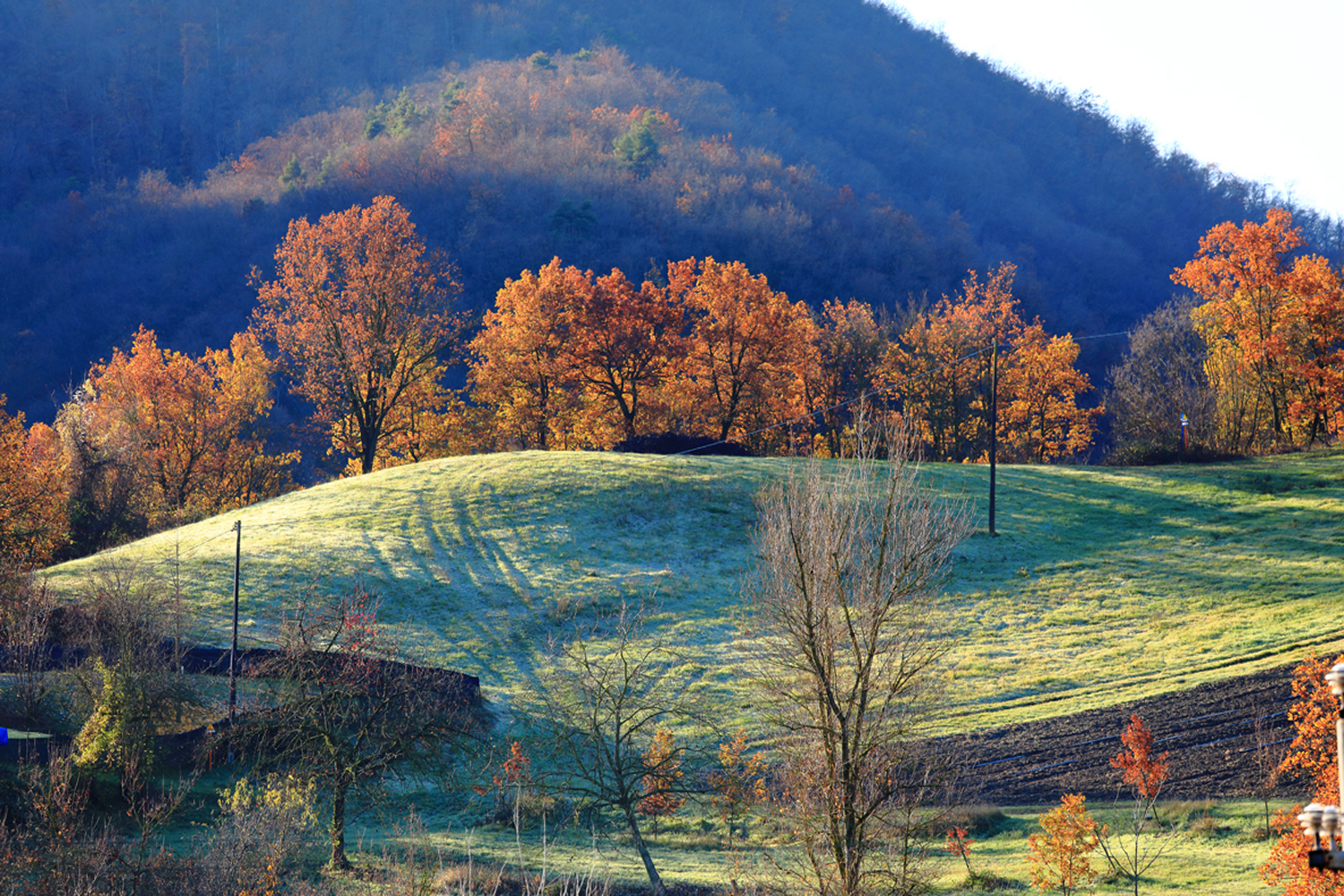 Loc La Vecchia, Vezzano sul Crostolo