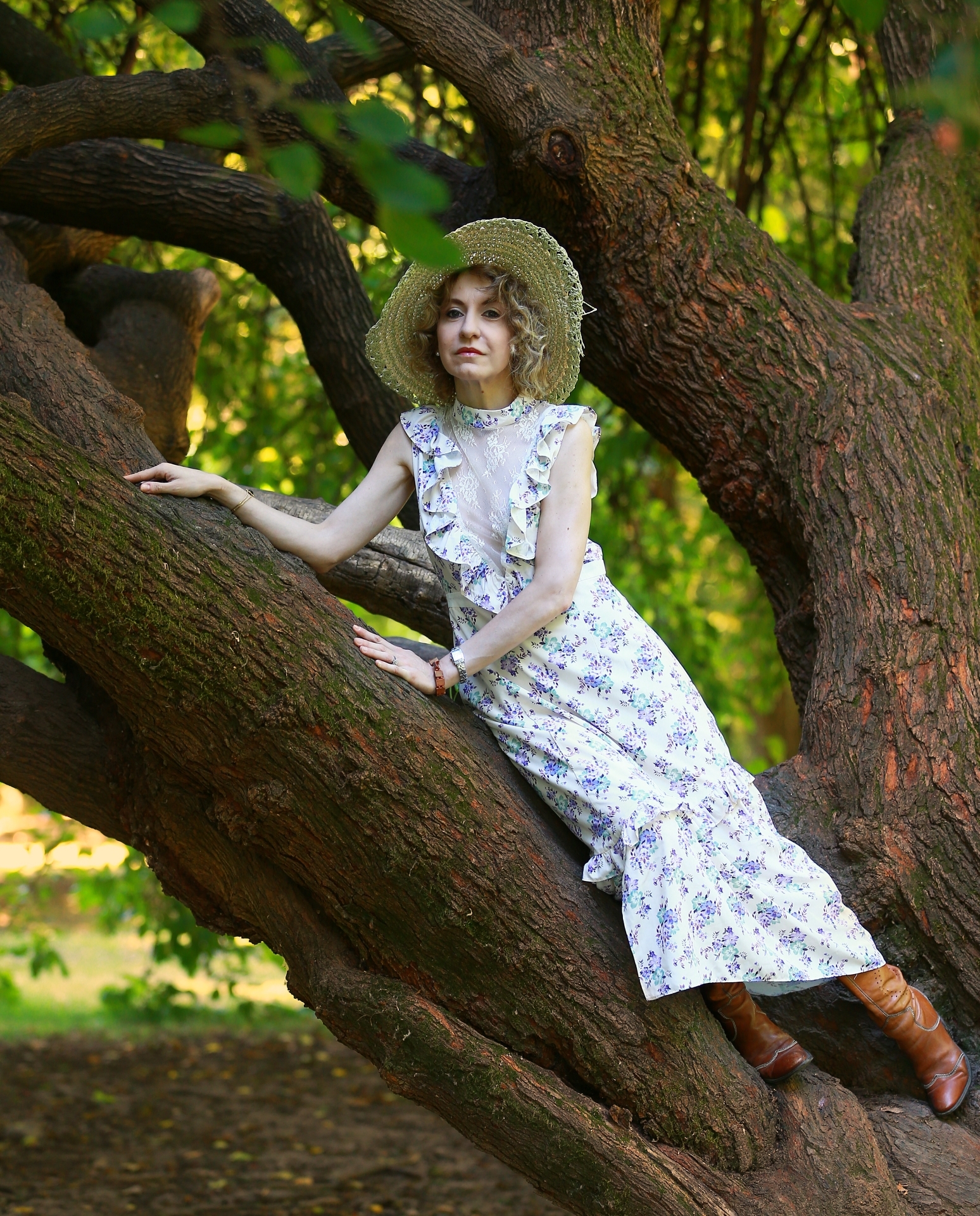 abbarbicata sul gelso