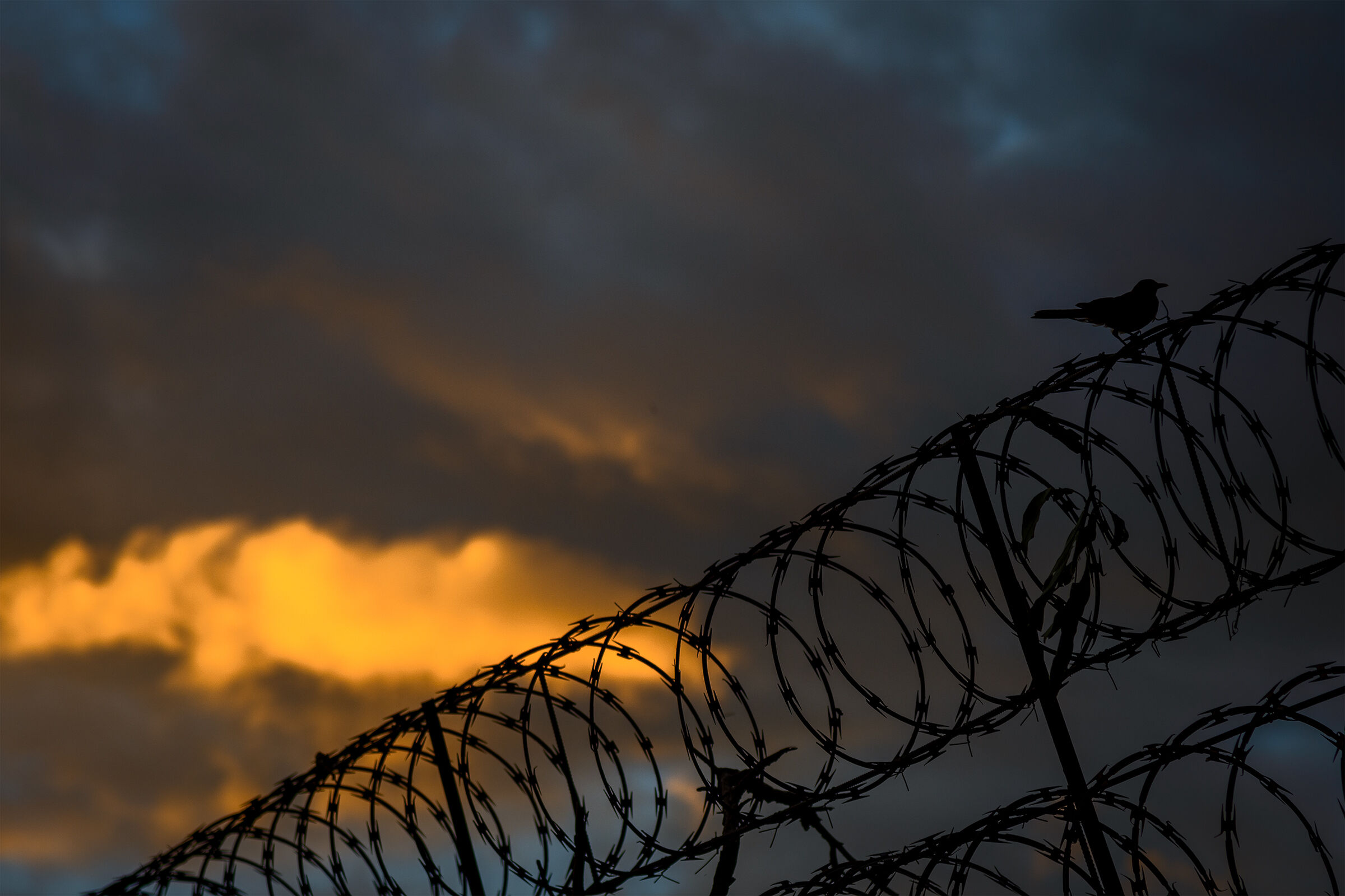 Solitario al tramonto