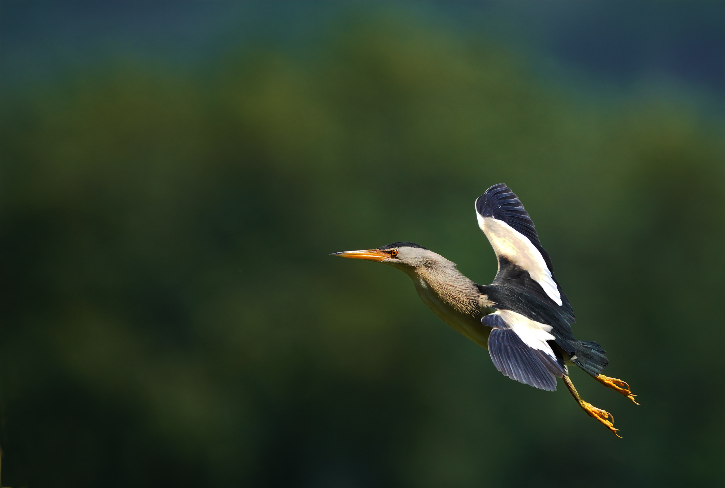 gliding