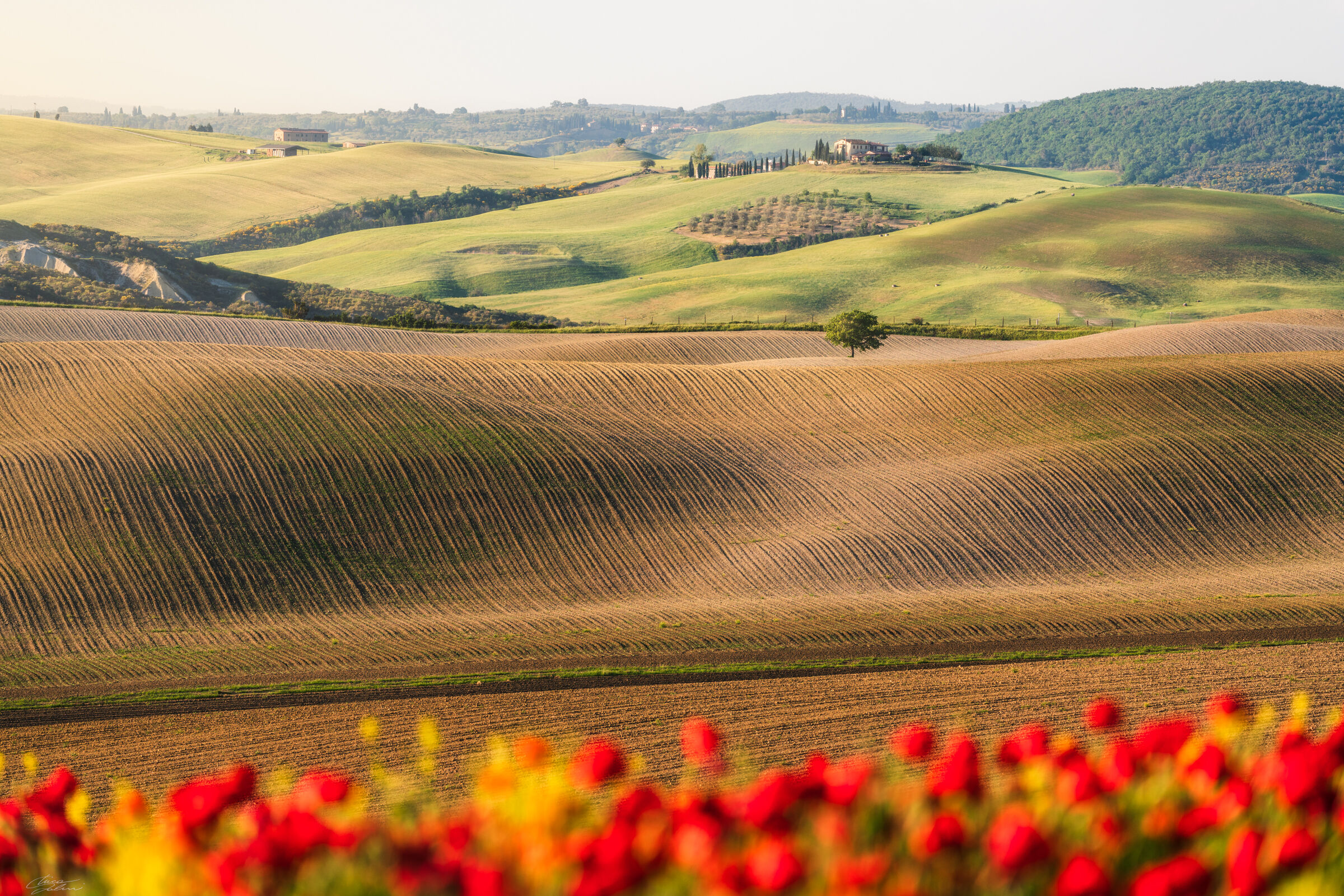 Sfumature Toscane