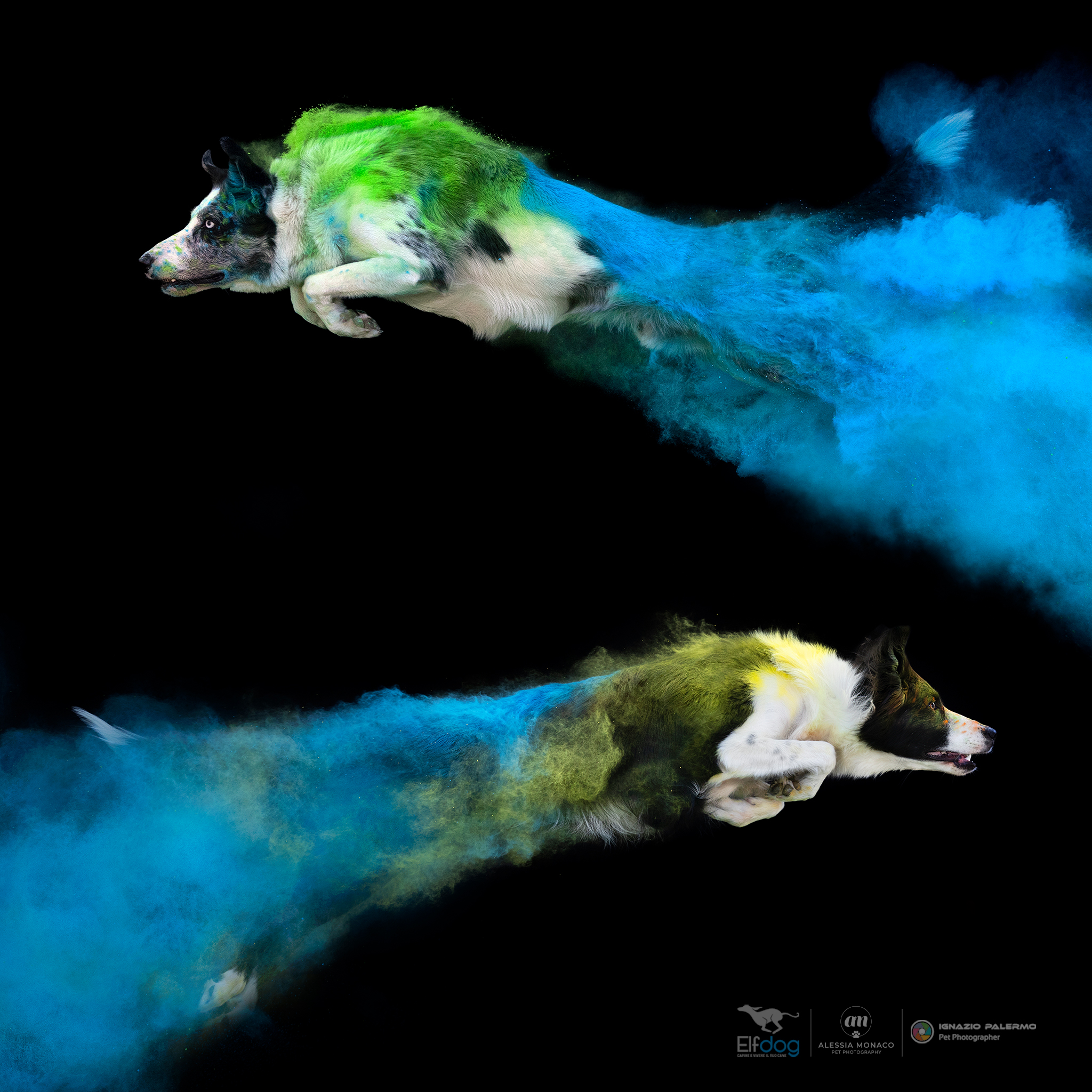 Who is the best jumper?