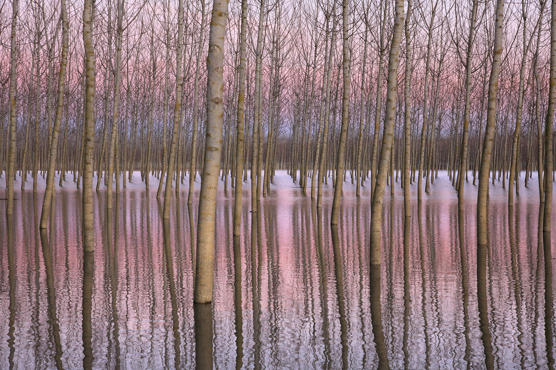 ricordo di una piena