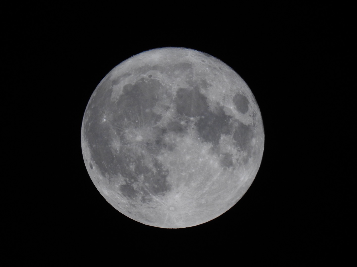 Super luna 2022 cervo