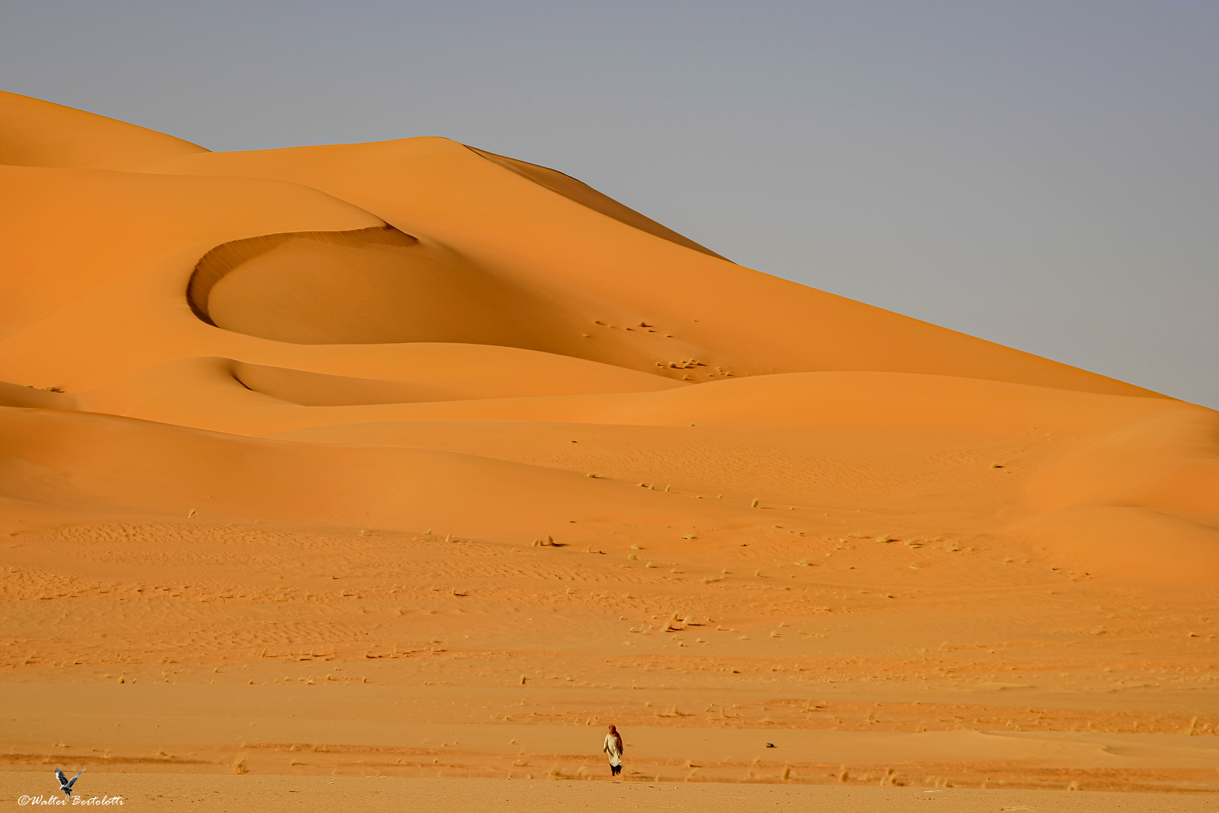 alone in the sahara