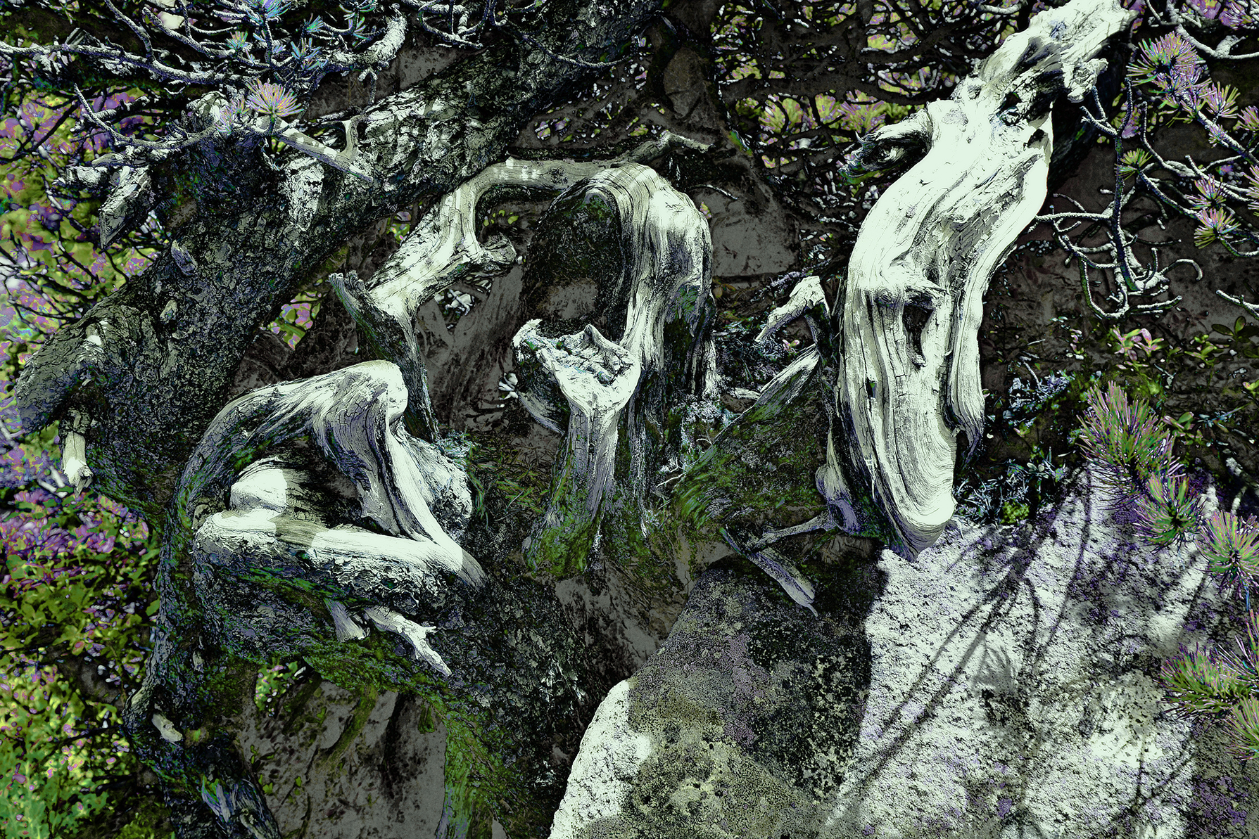 Dante's hell