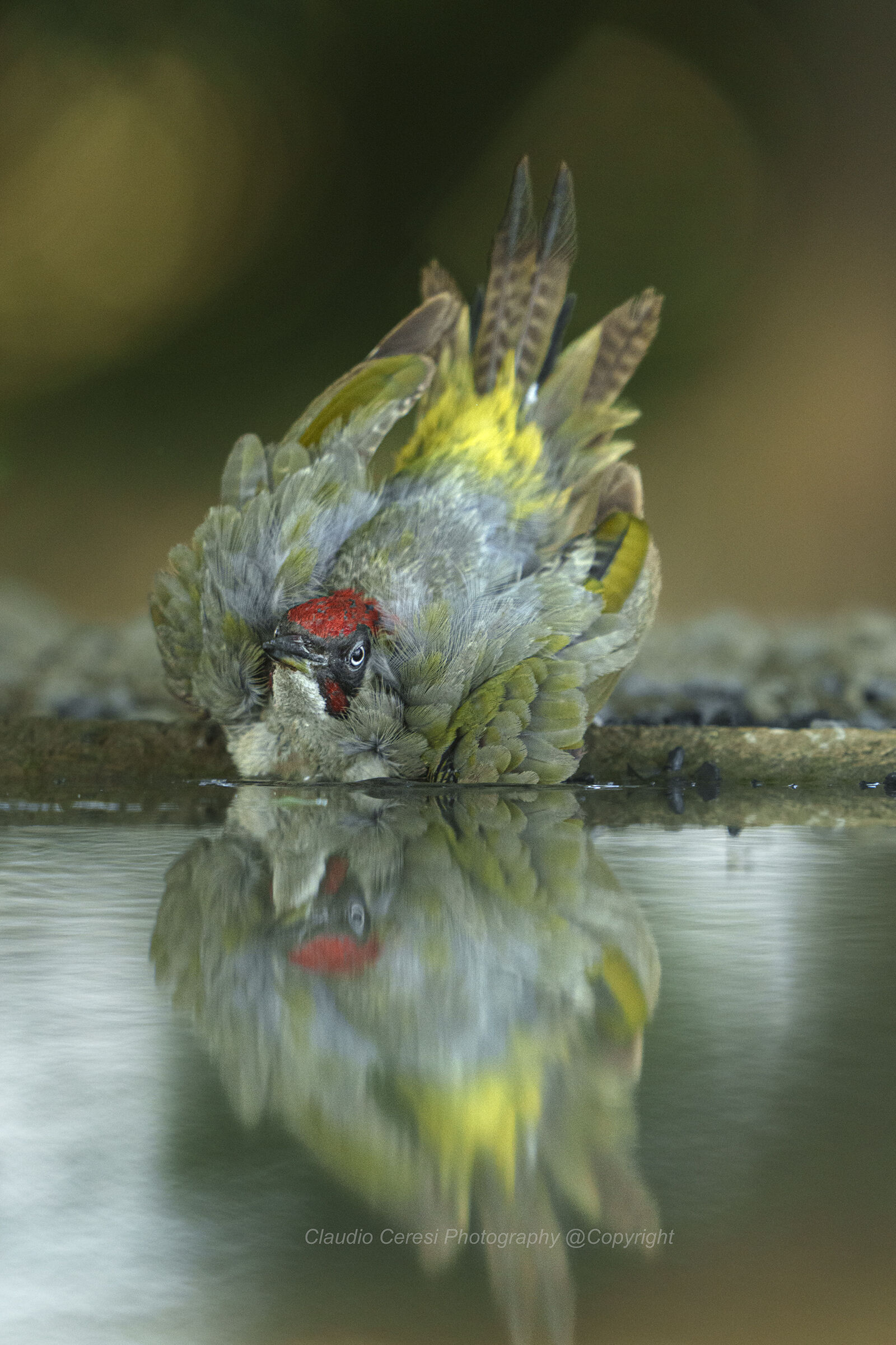 al capanno Massumatico