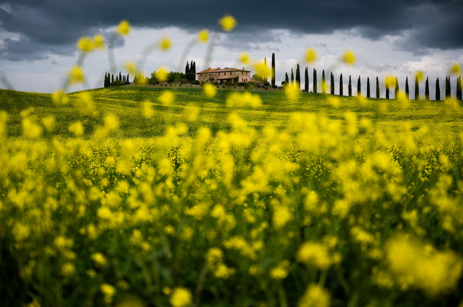 Val d'Orcia