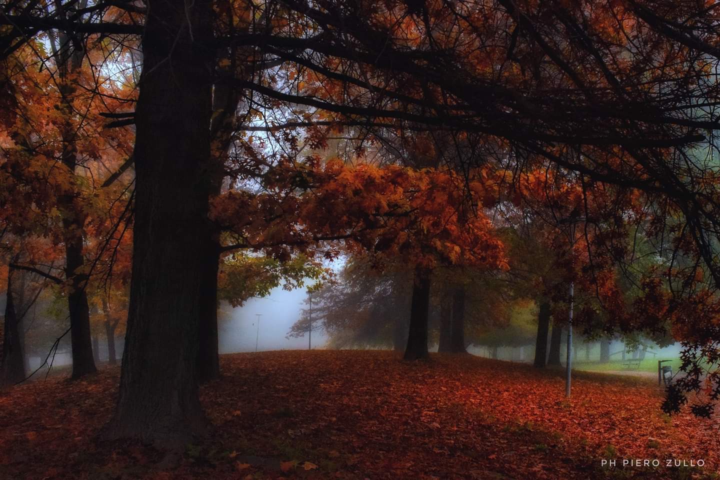 Autumn and its colors ?