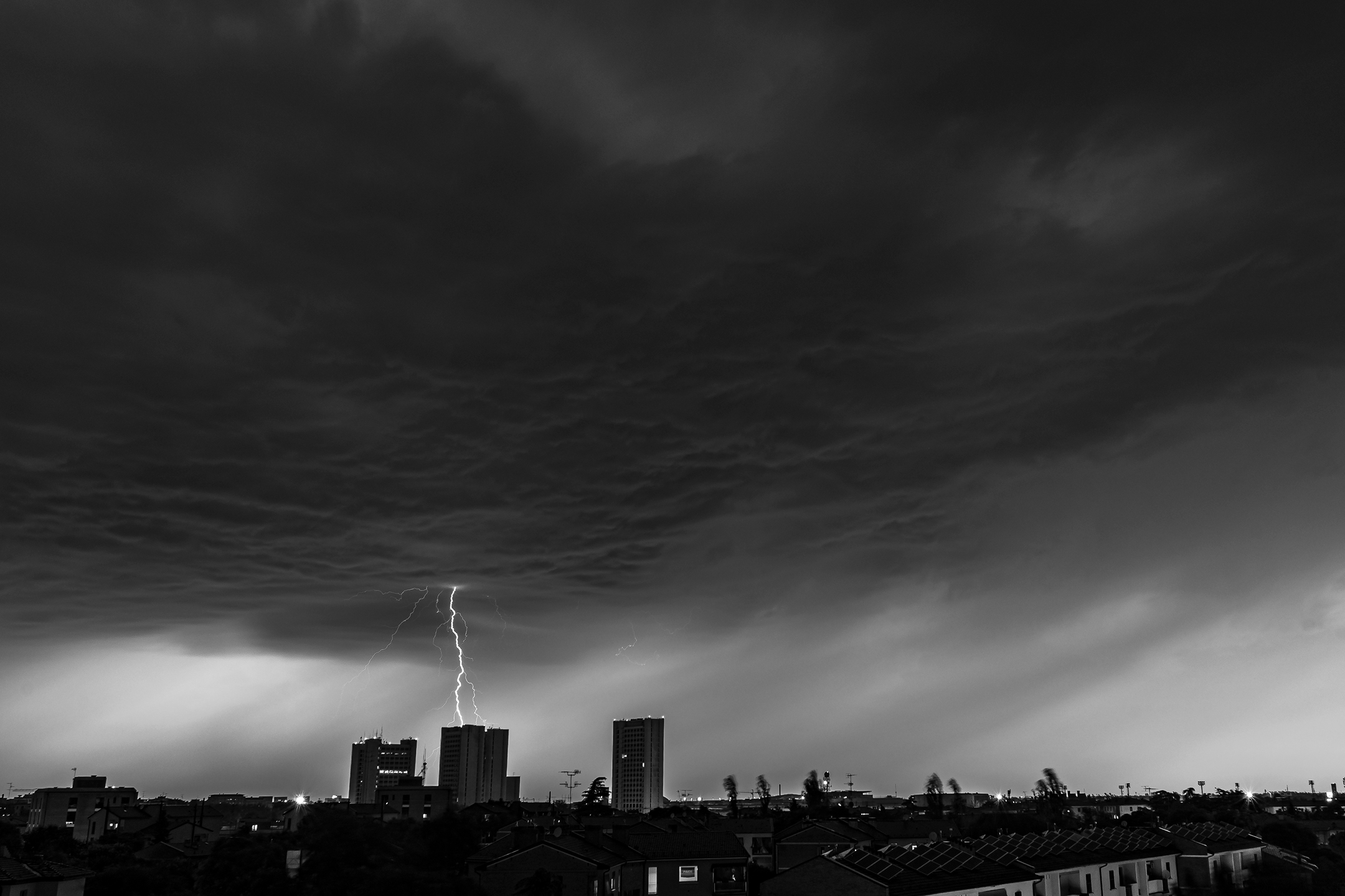 Tempesta to Bologna