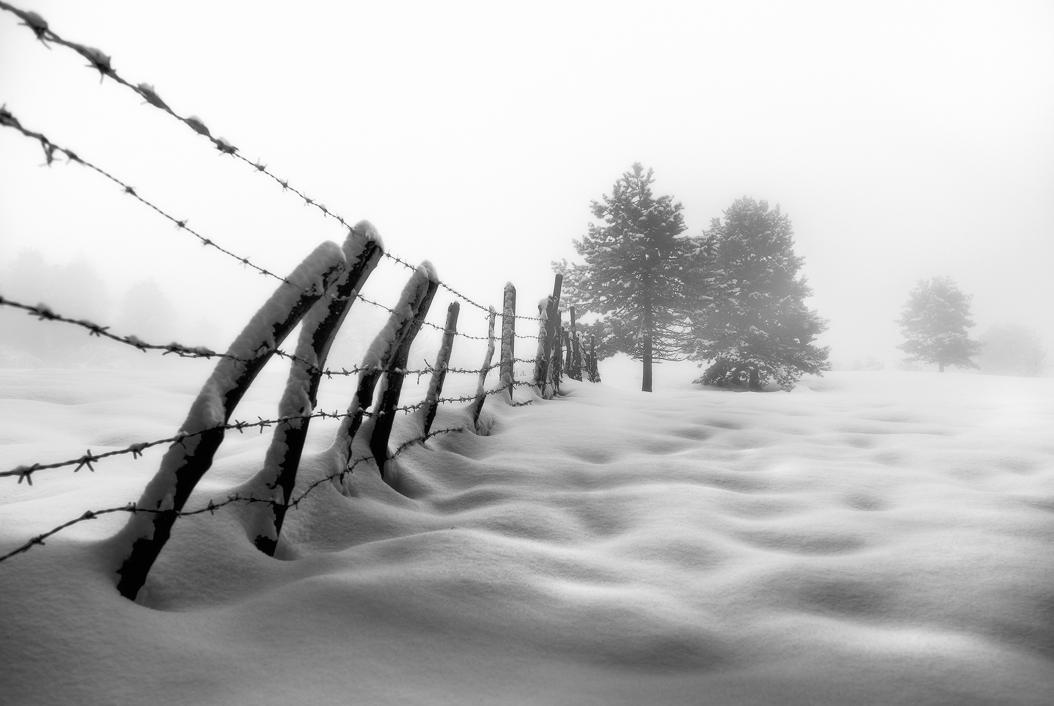 snowpiercer
