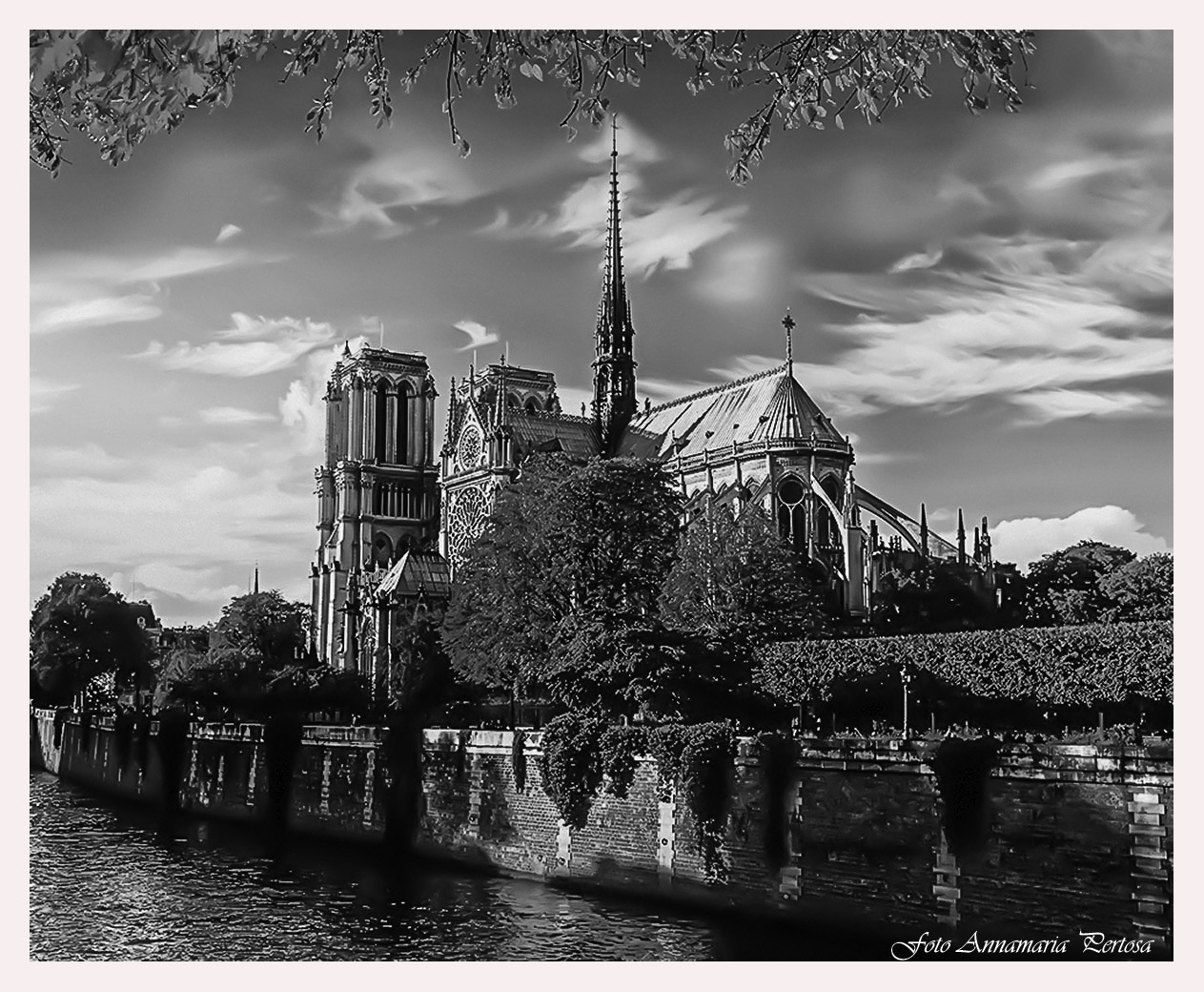 la rinascita di notre dame de paris