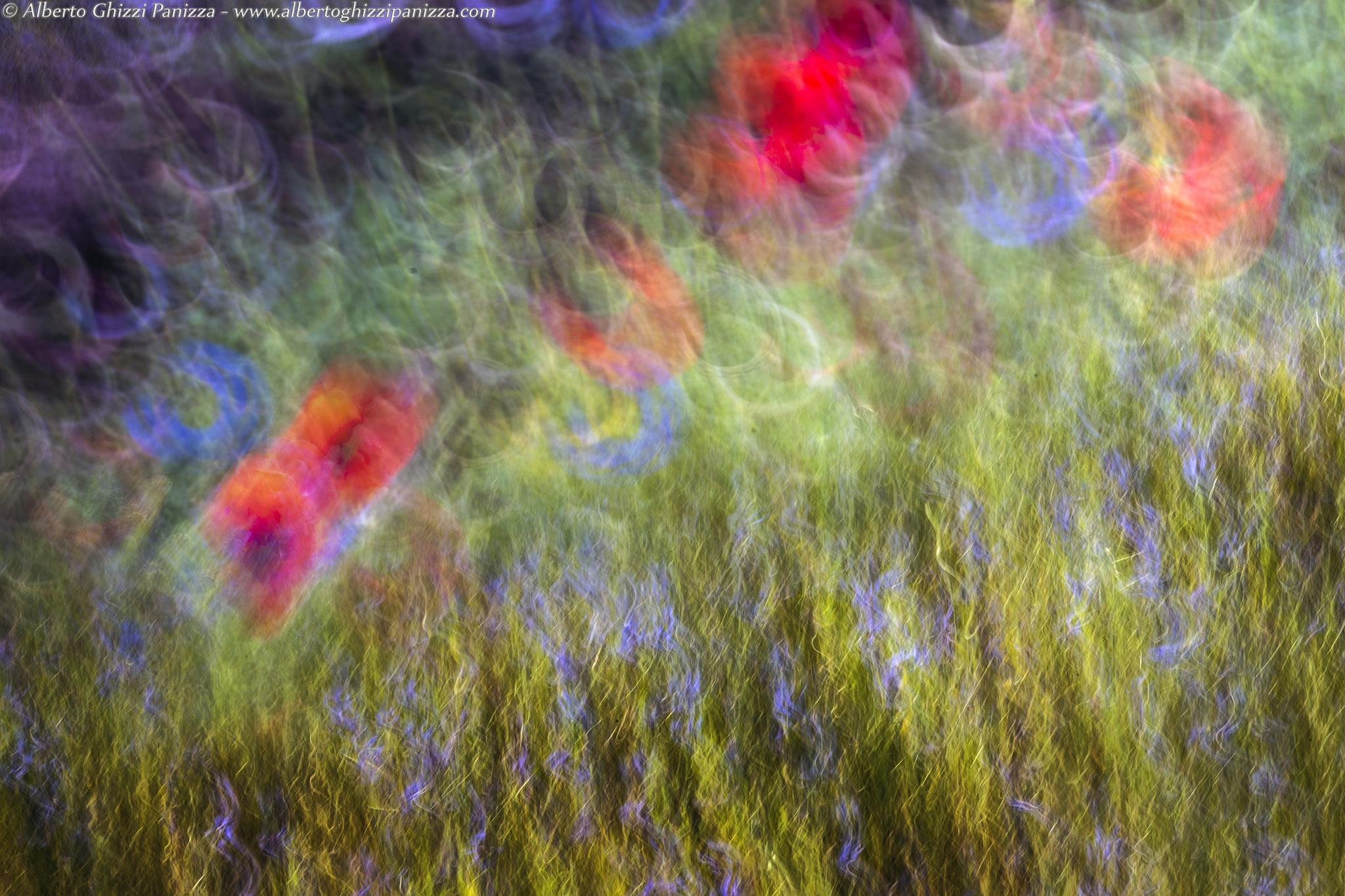 Playing with the #2 Mossi