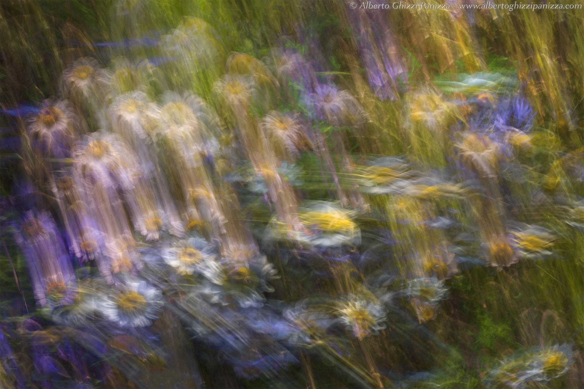 Playing with the #3 Mossi