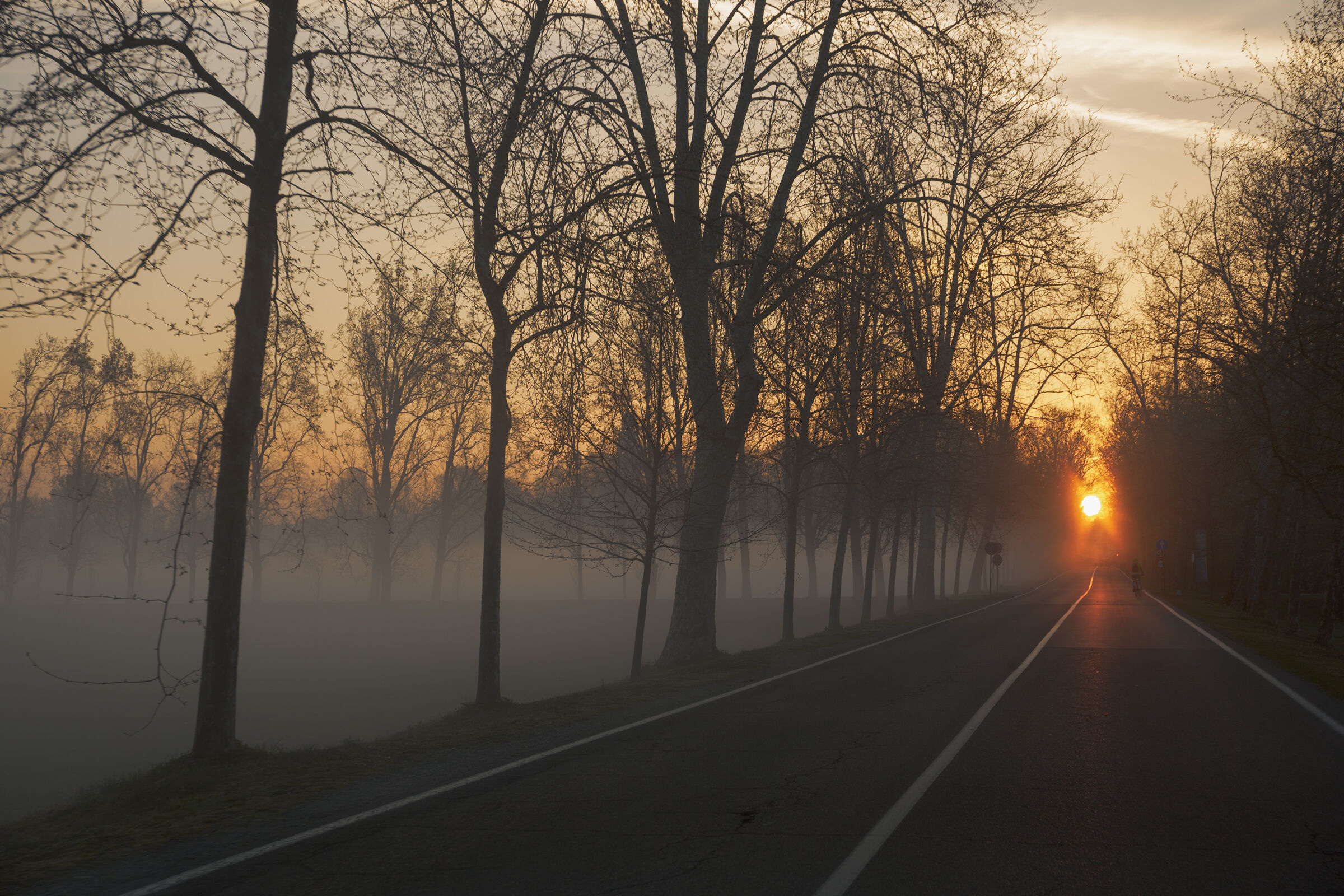Viale Cavriga