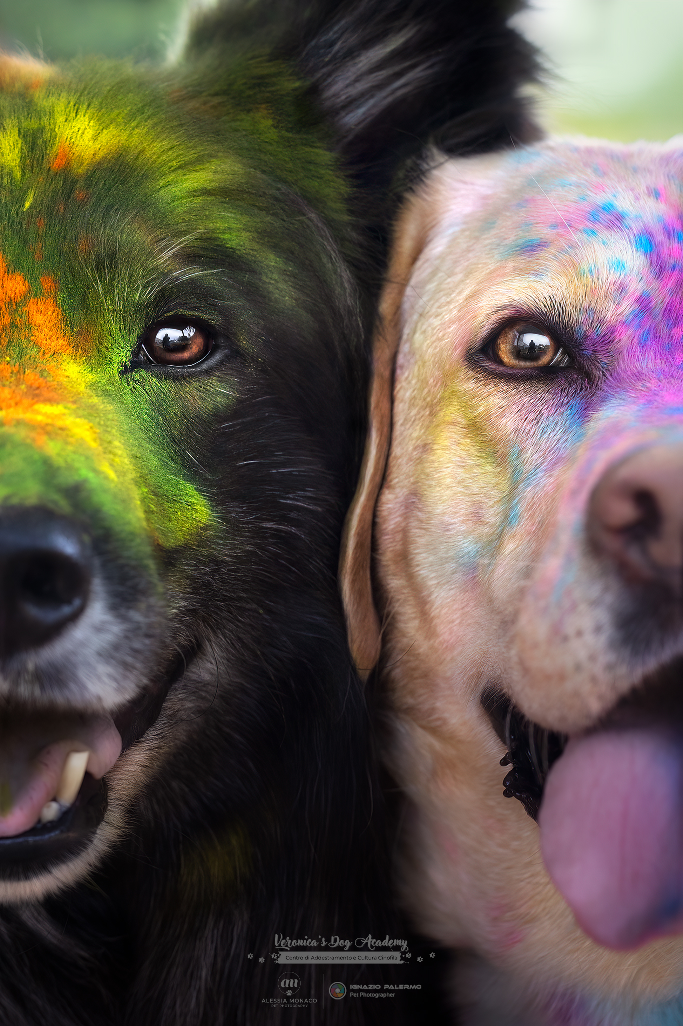 Powders holi eye eye