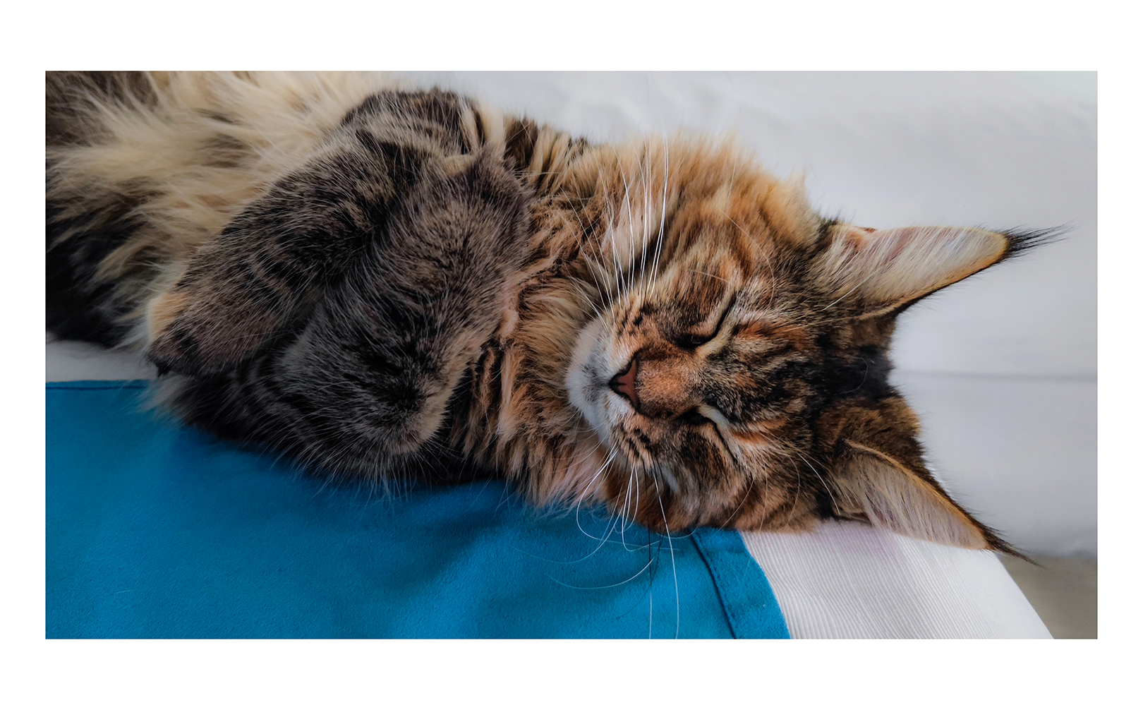 Sleeping with folded arms