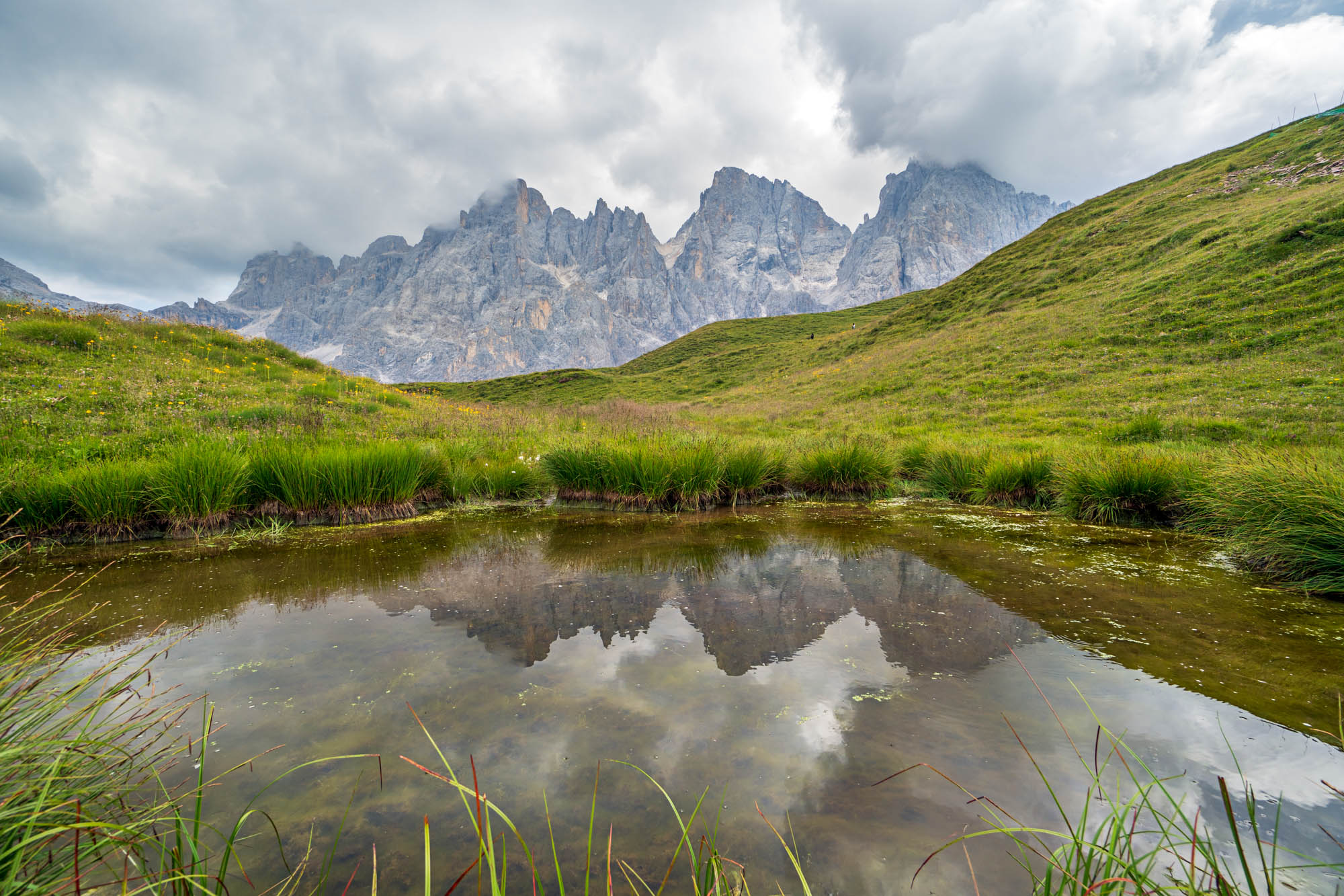 Pale of San Martino