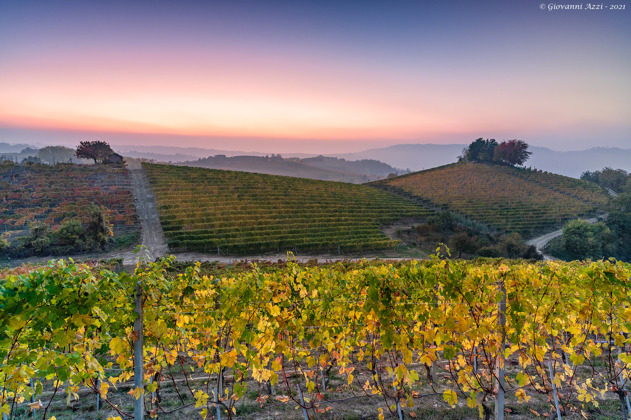 Scorcio di Langhe al tramonto 2