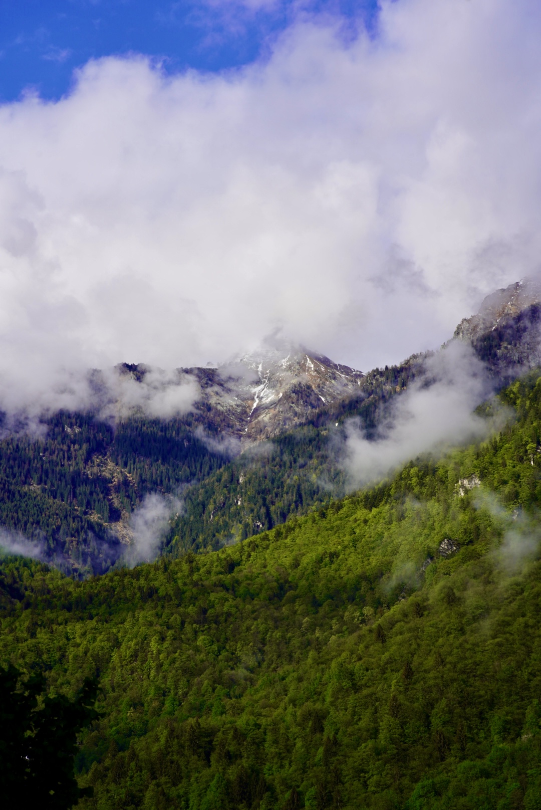 Aleccio con il cappello