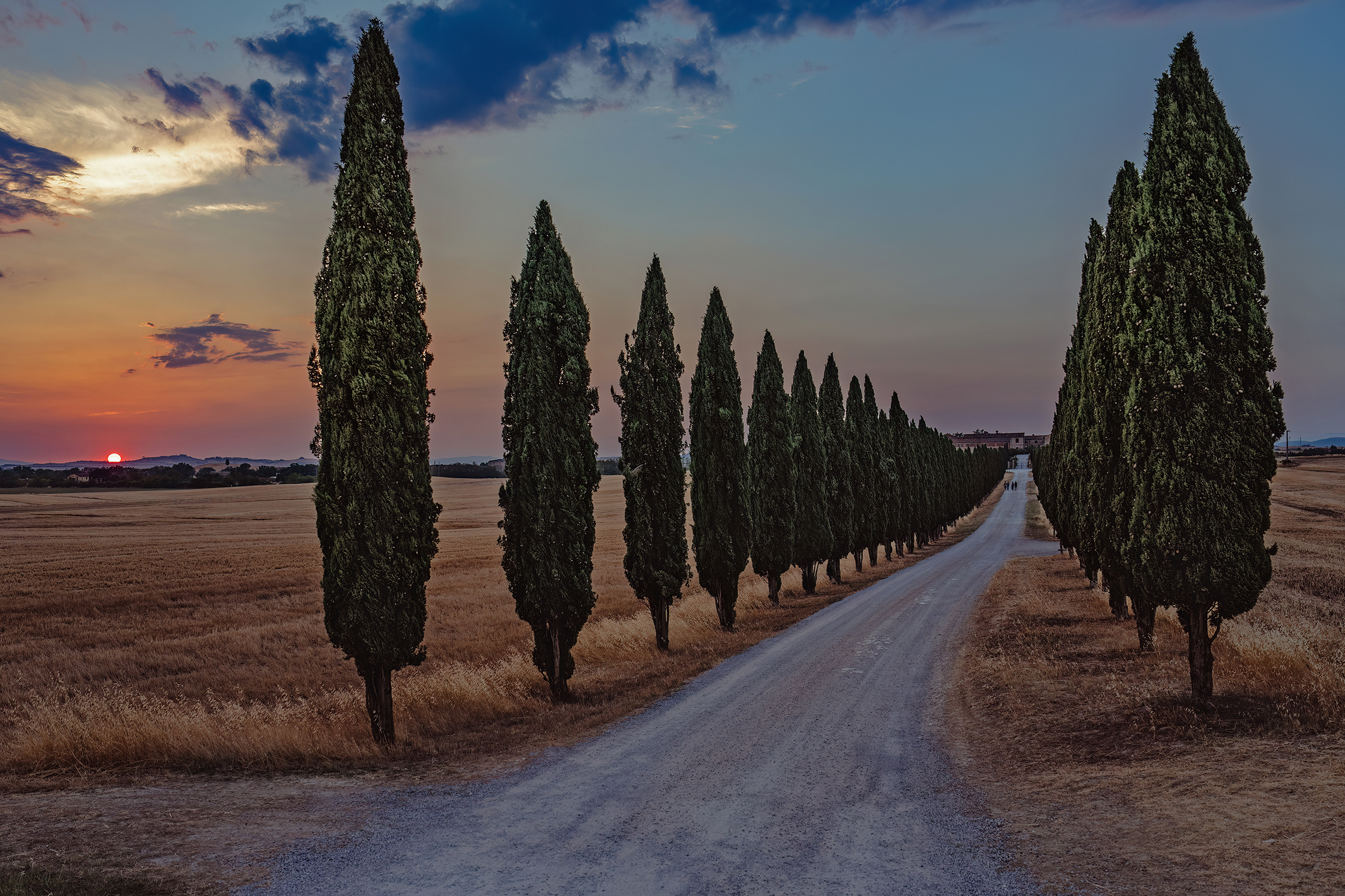 Il viale dei cipressi