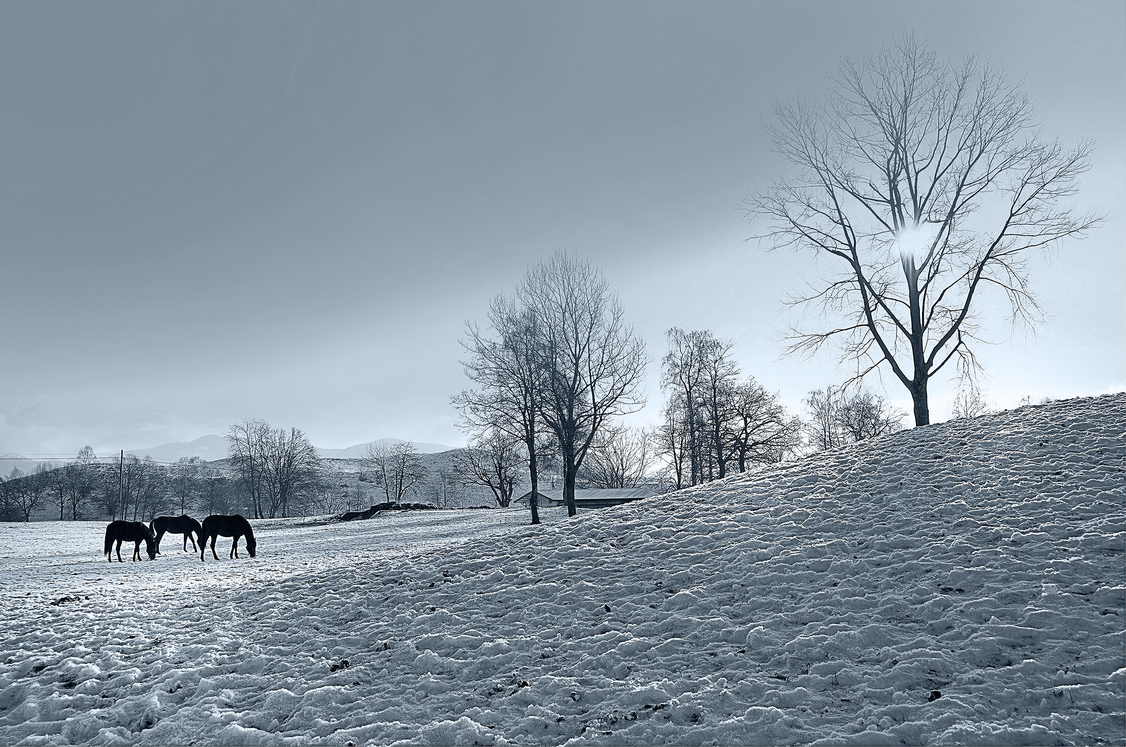 Lanzo d 'Intelvi - winter