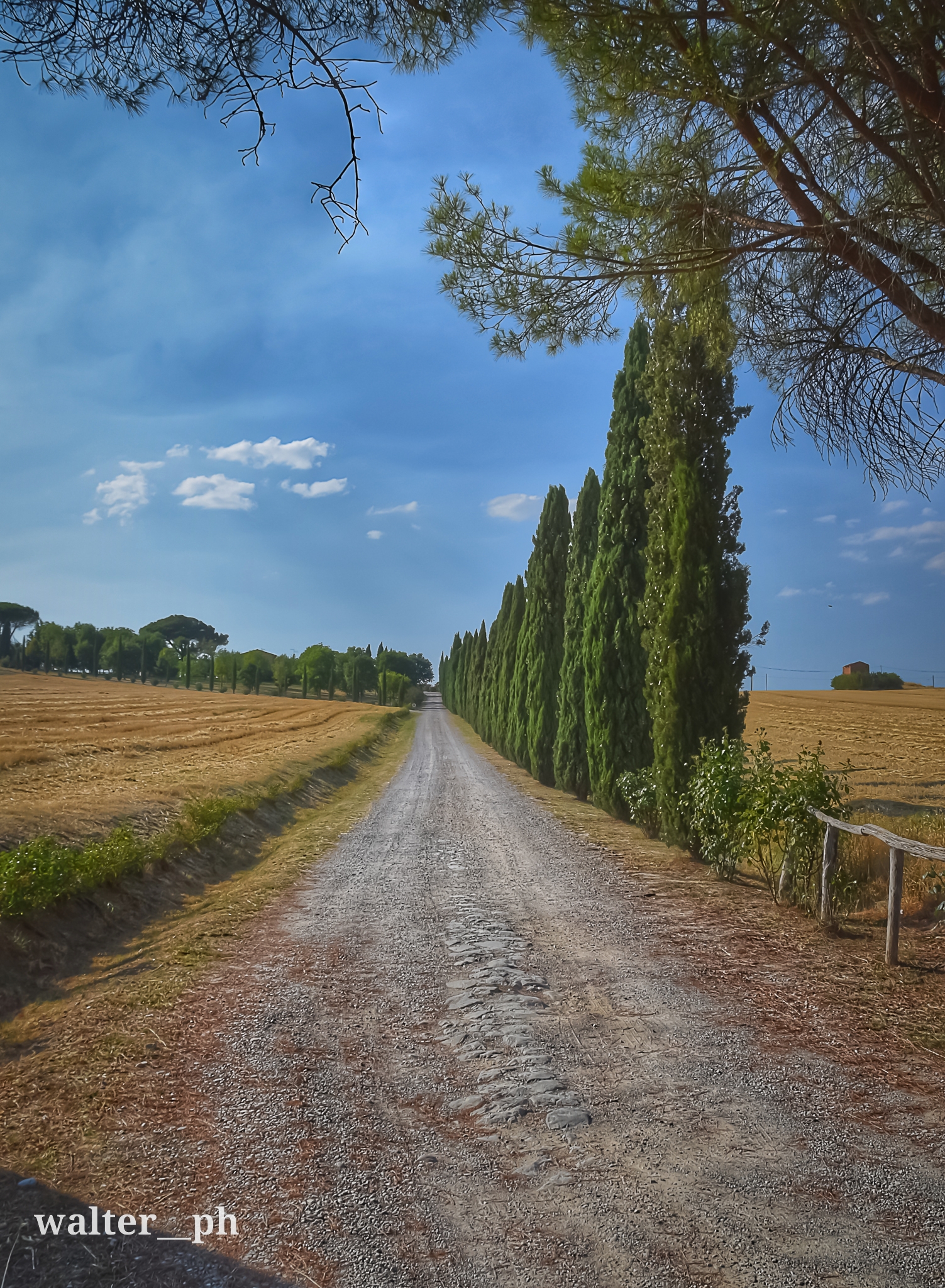 The way