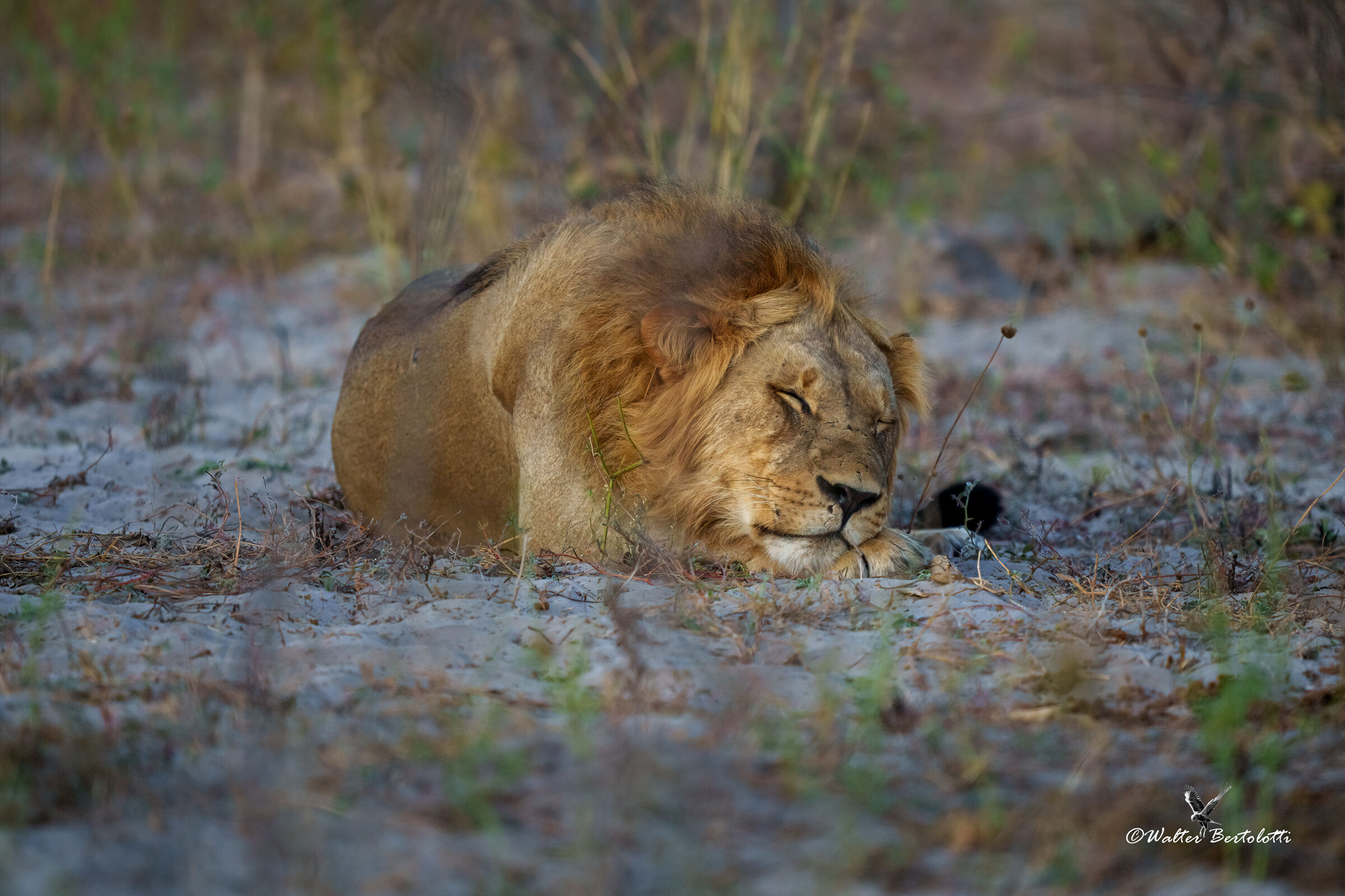 il riposo del guerriero