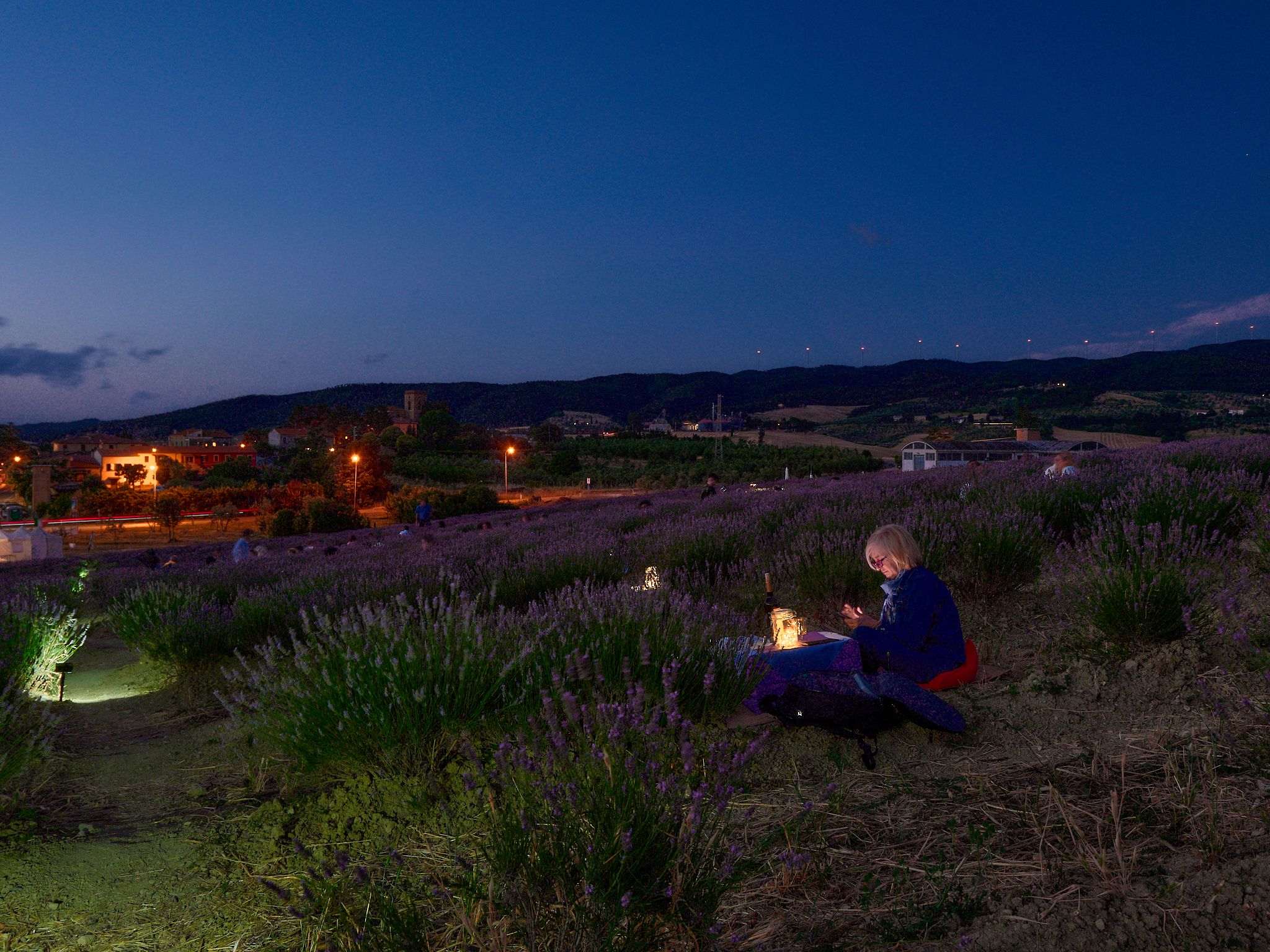 Dinner in the fields