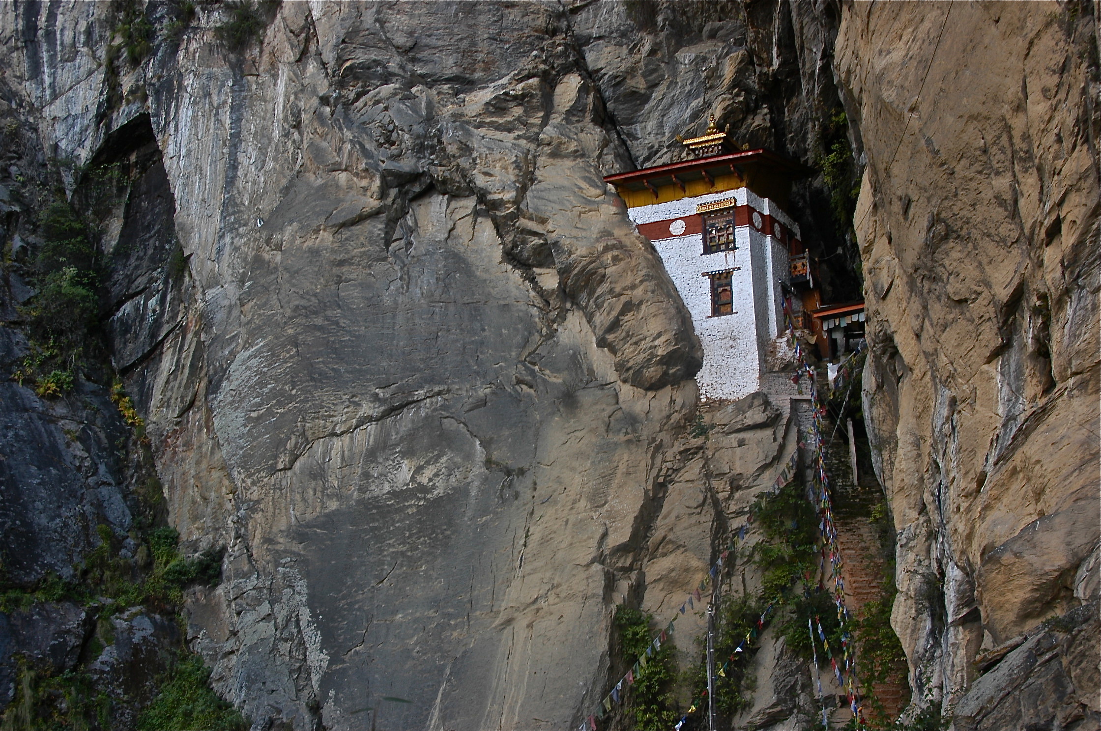 on the side of the burrow