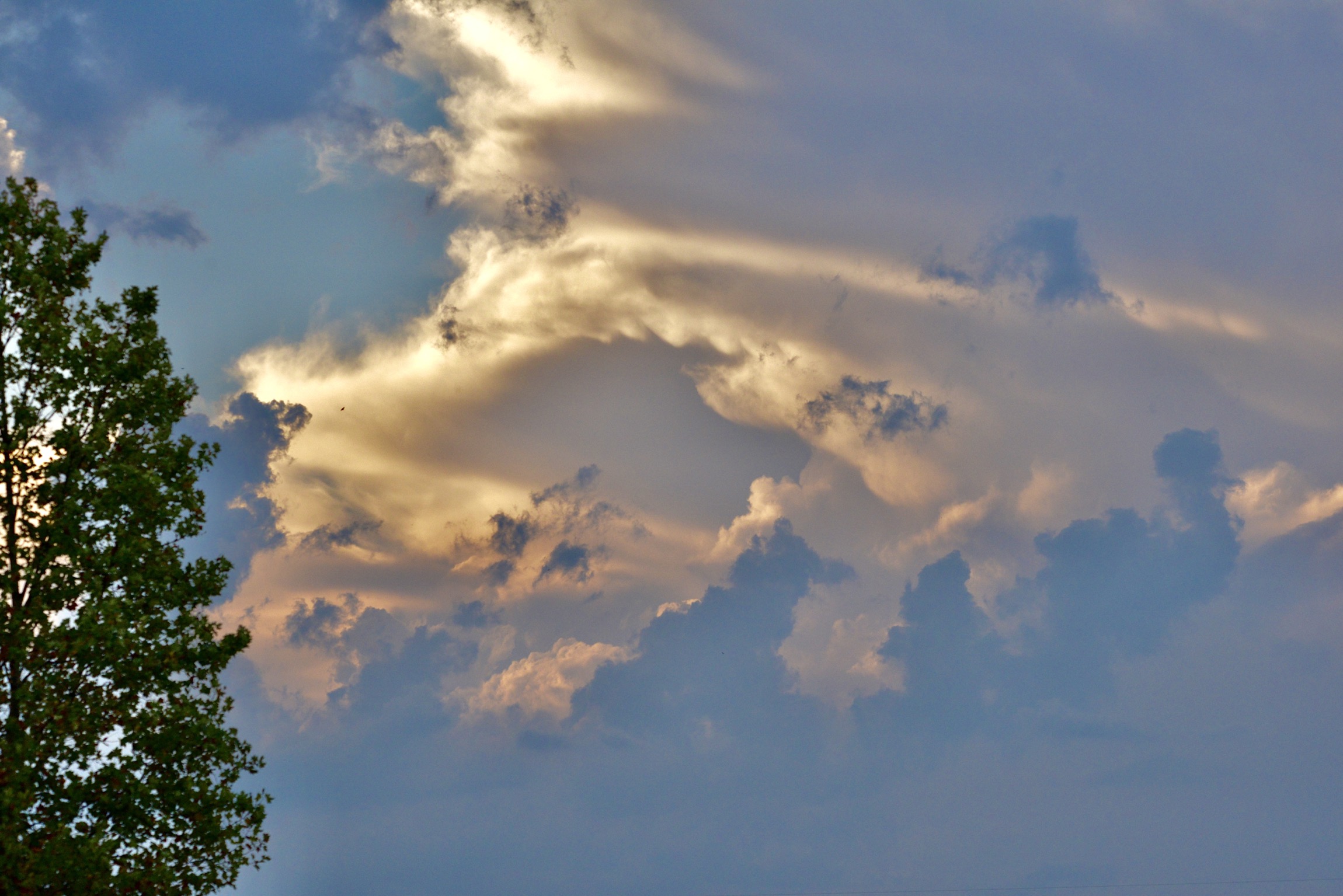 Artistic brushstrokes