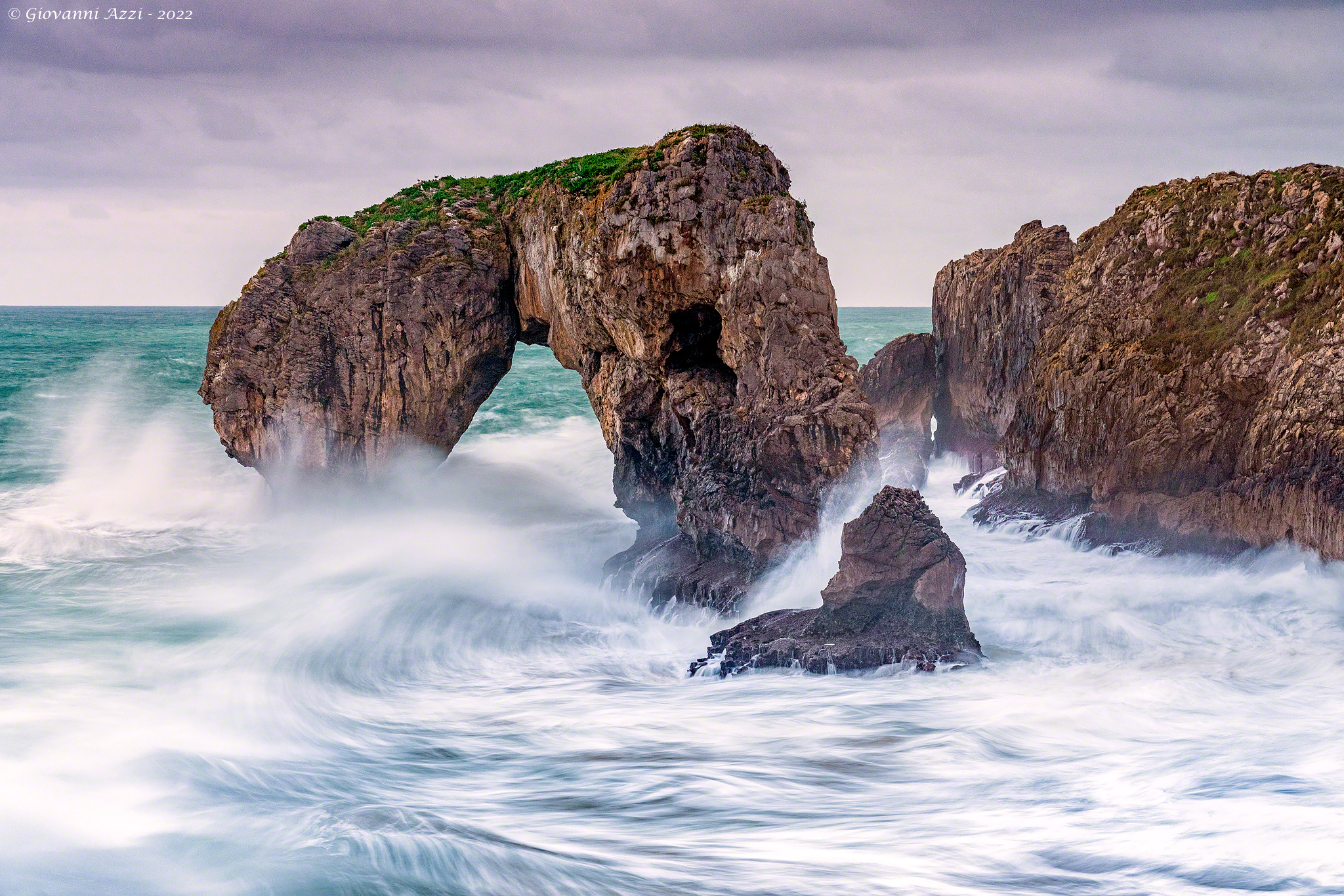 L'elefante e le onde