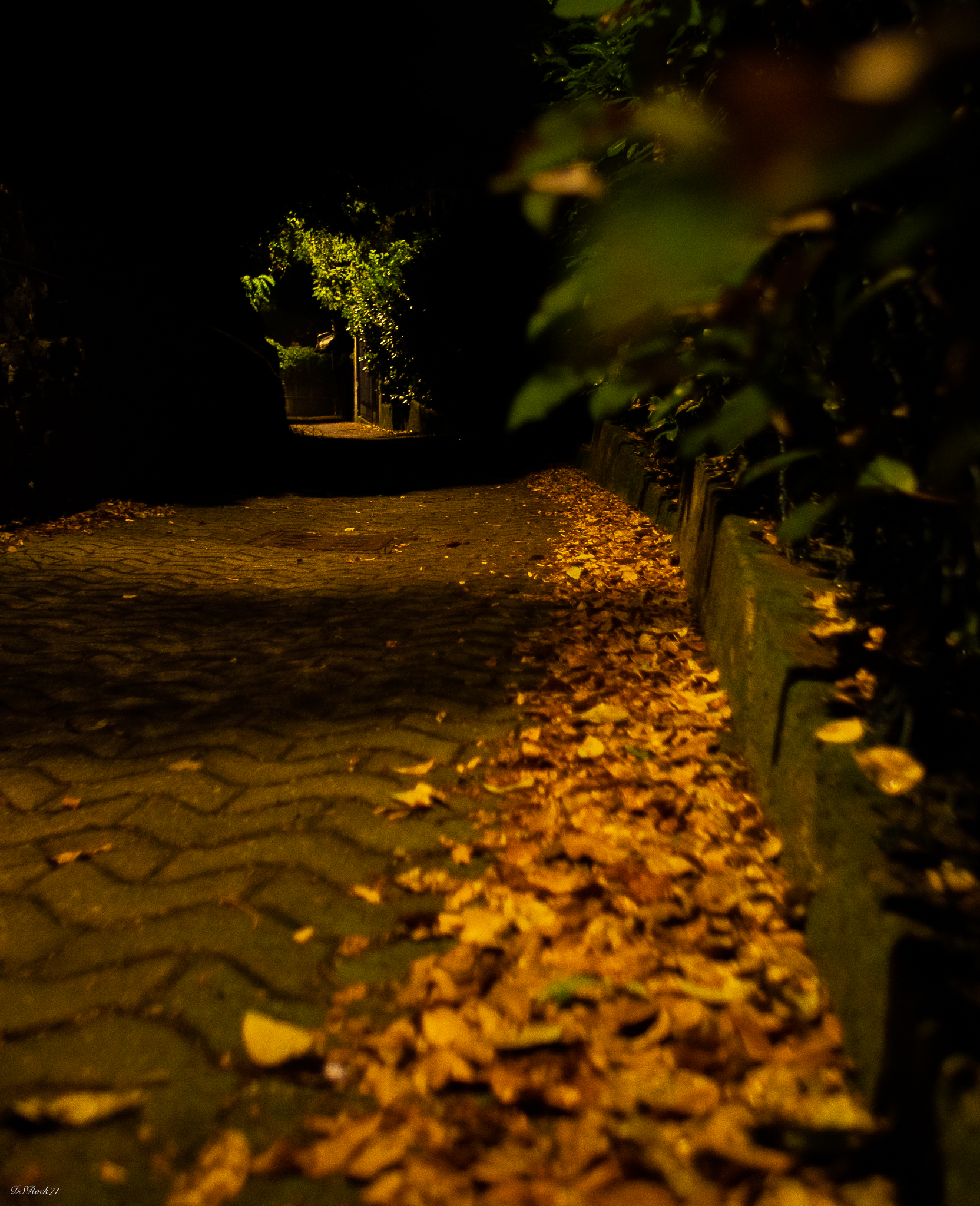 shaded areas in the alley