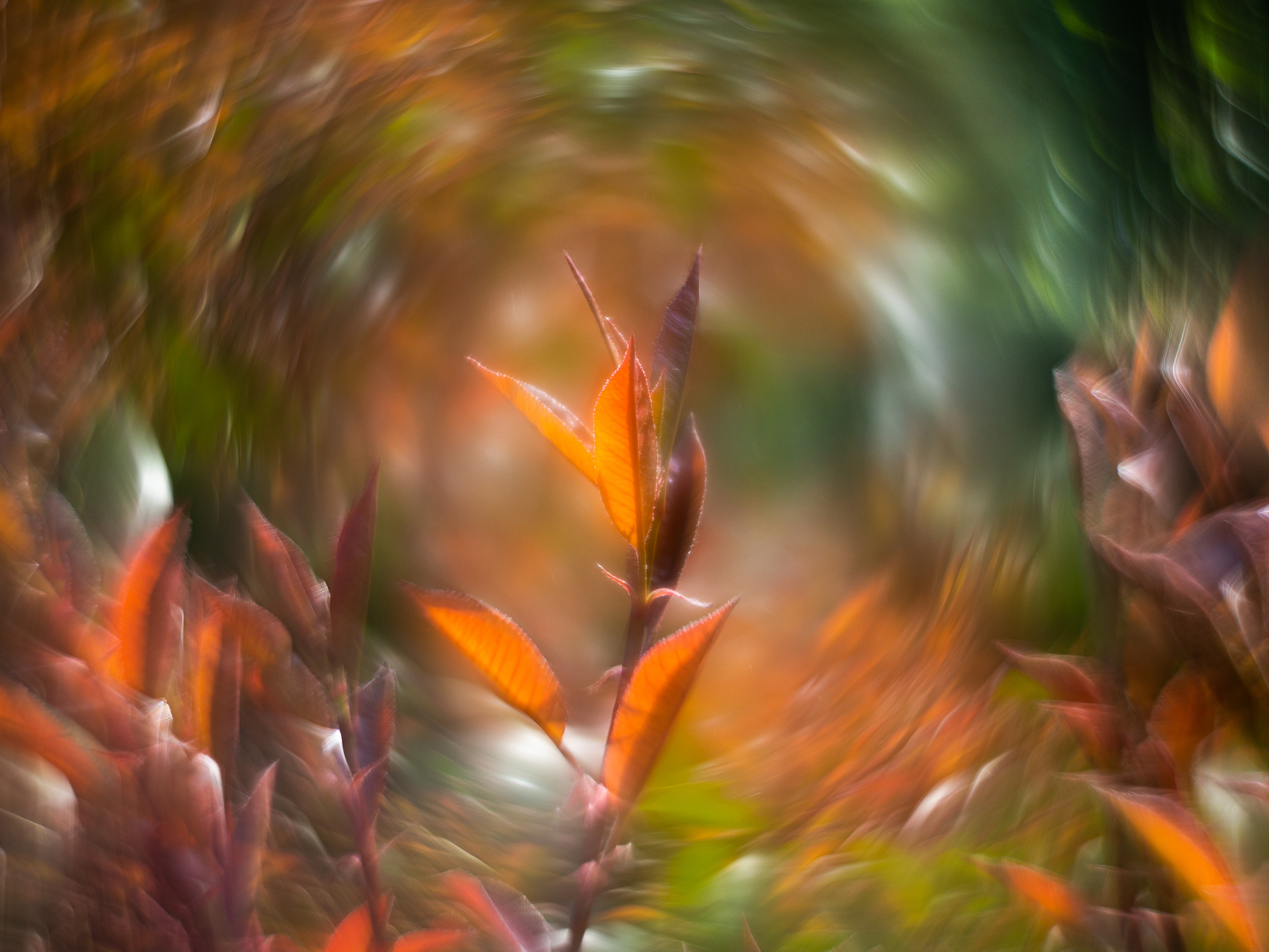 Extreme Swirly Bokeh