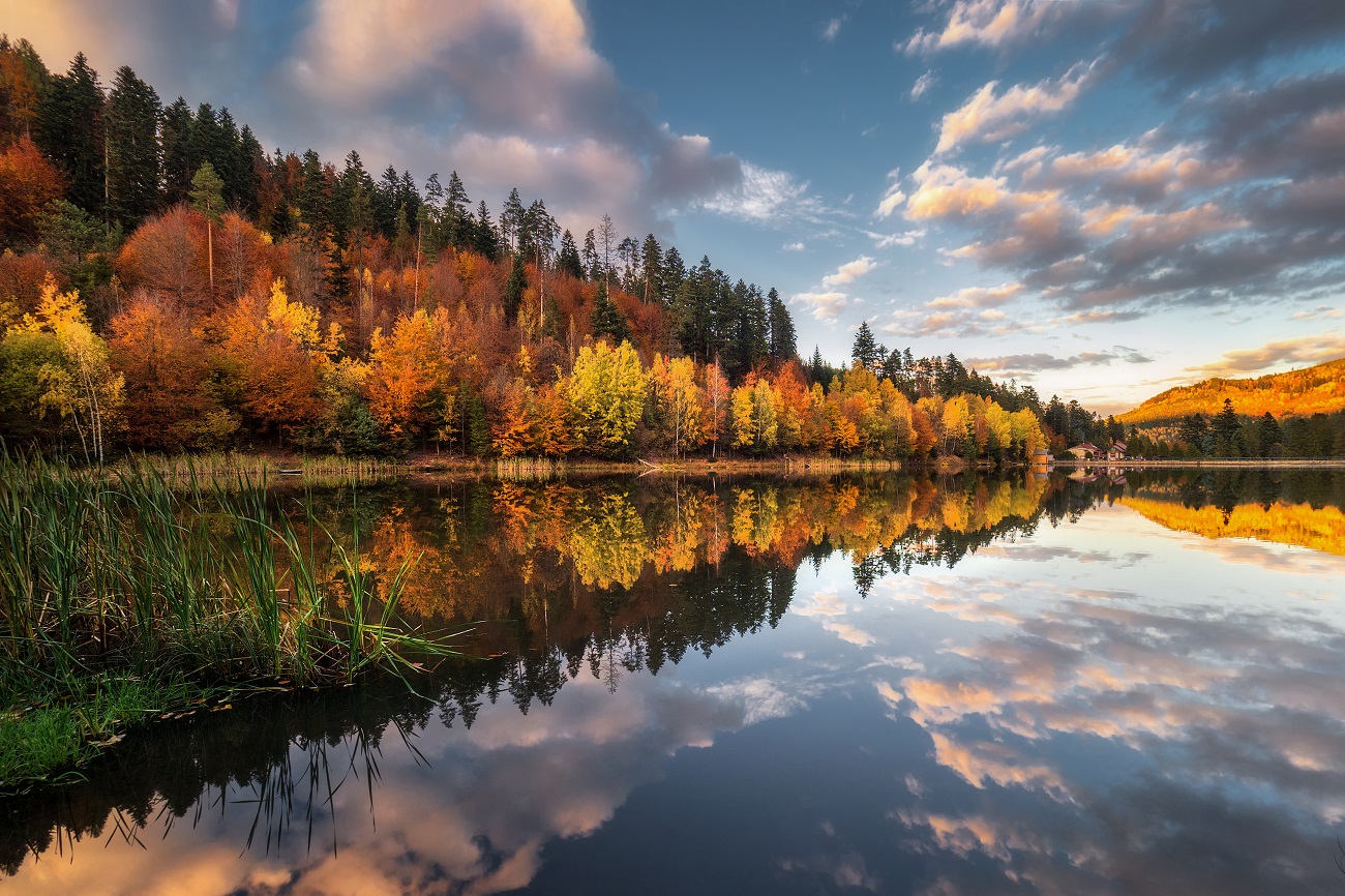 Mountain mirror