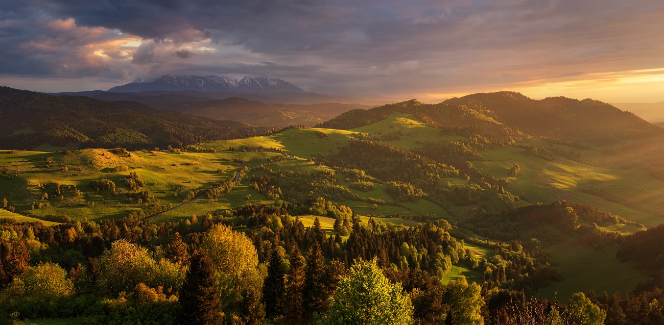Last rays of the sun