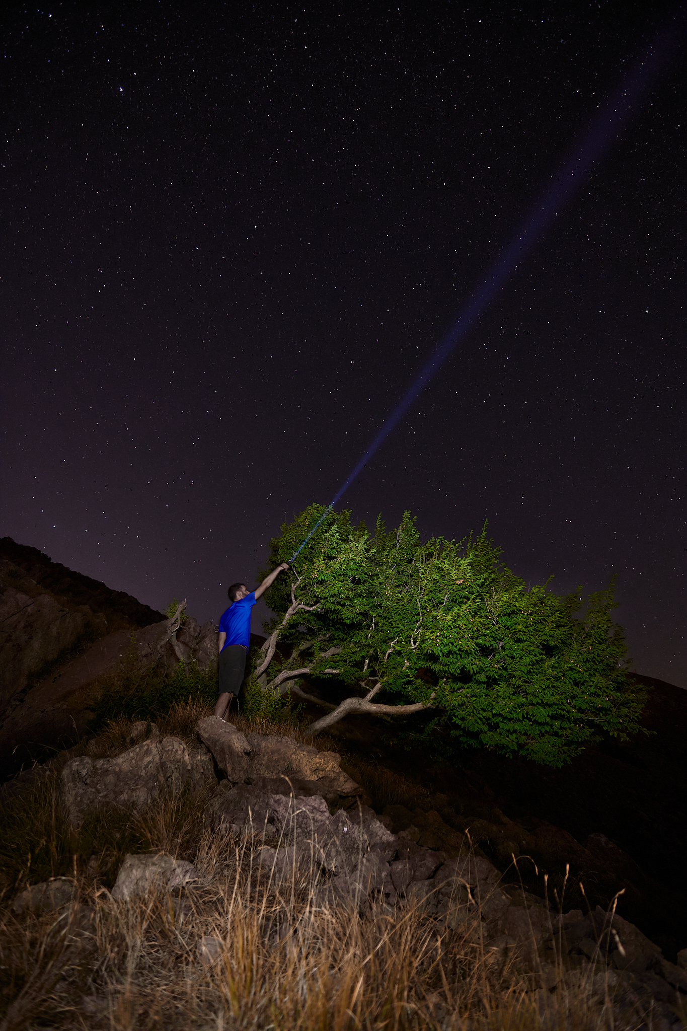 Cercando le stelle cadenti