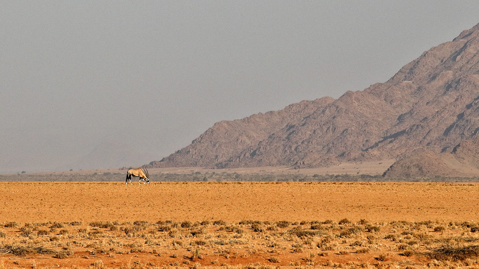 Onyx on the horizon