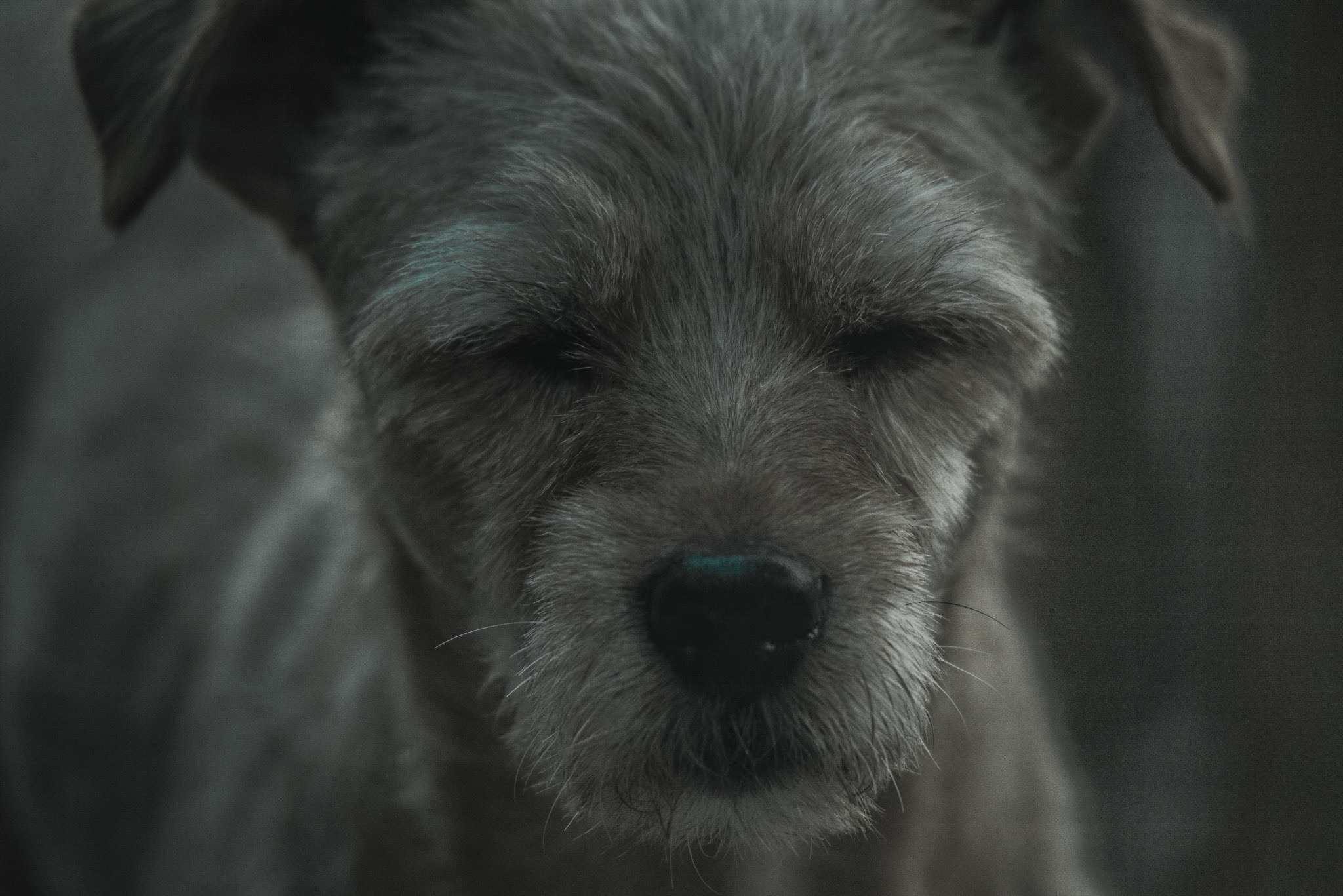 Theo-spinone