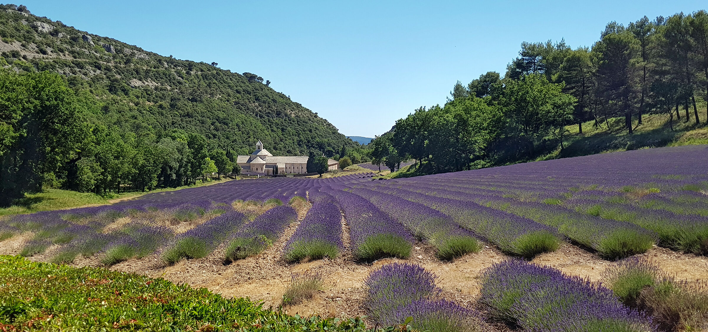 L'abbazia di Sénanque