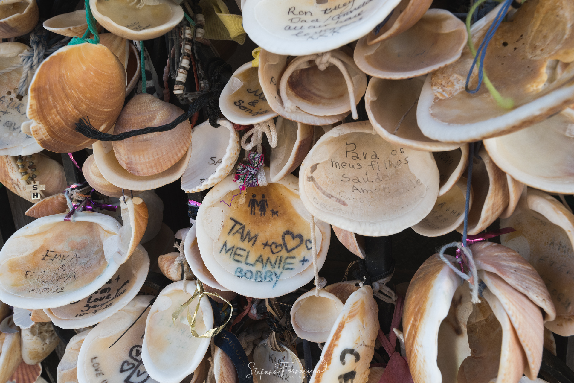 Conchiglie di Ermida de Nossa Senhora da Rocha