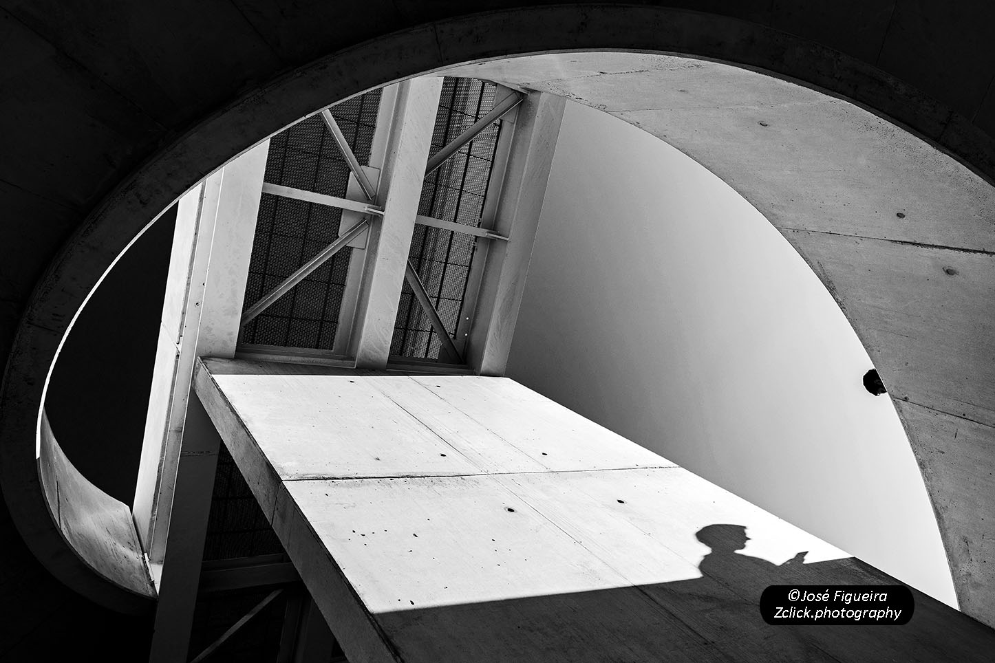 1.618 richieste di rapporto aureo