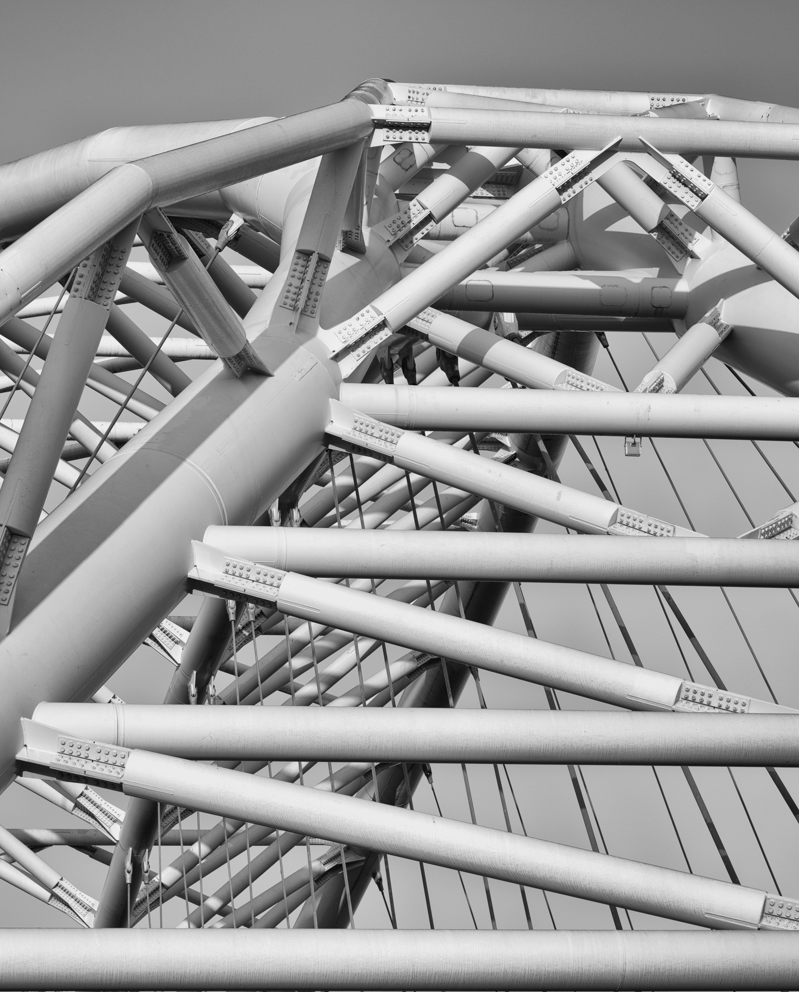 Untitled Photo