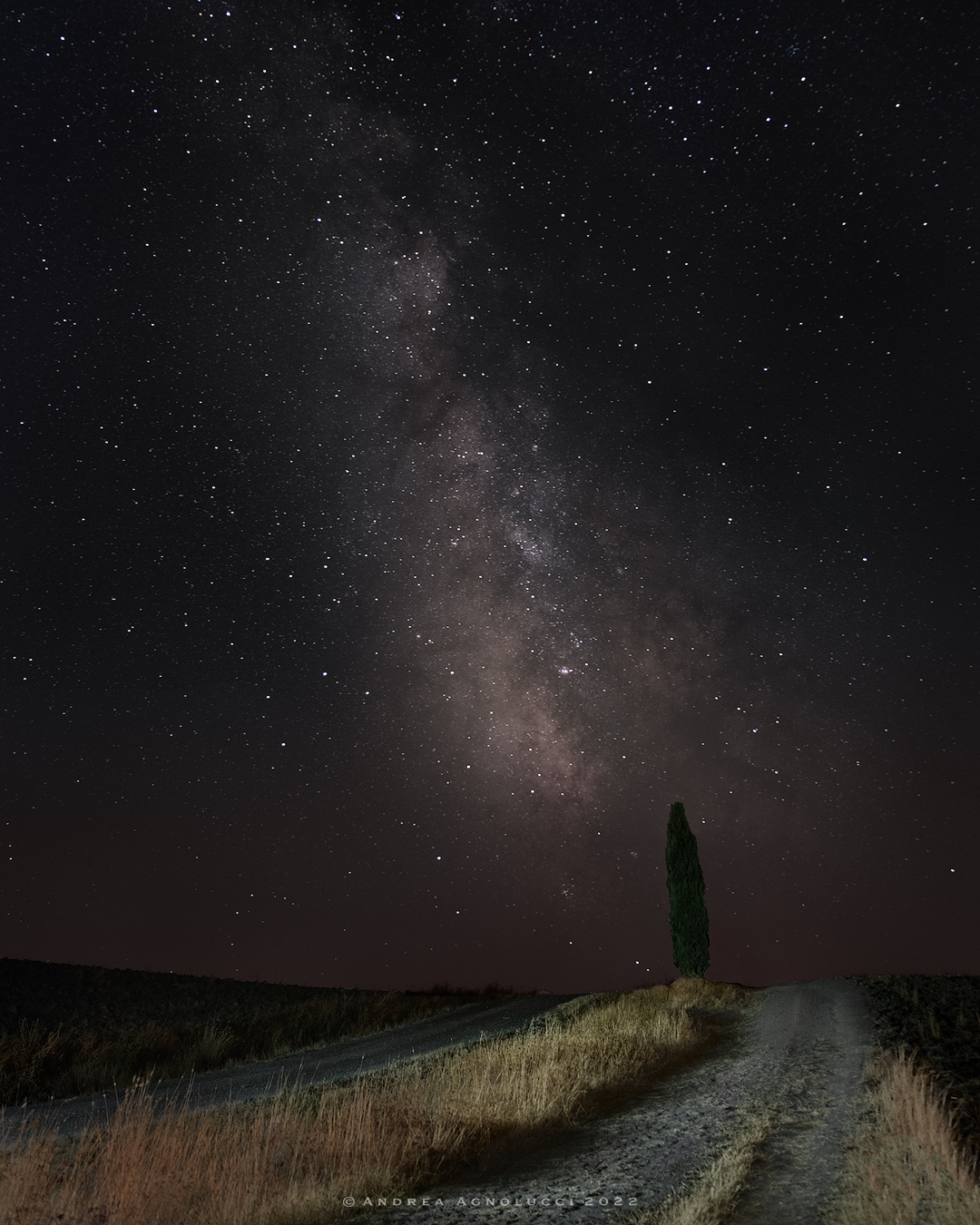 Milky way and the lone cypress tree