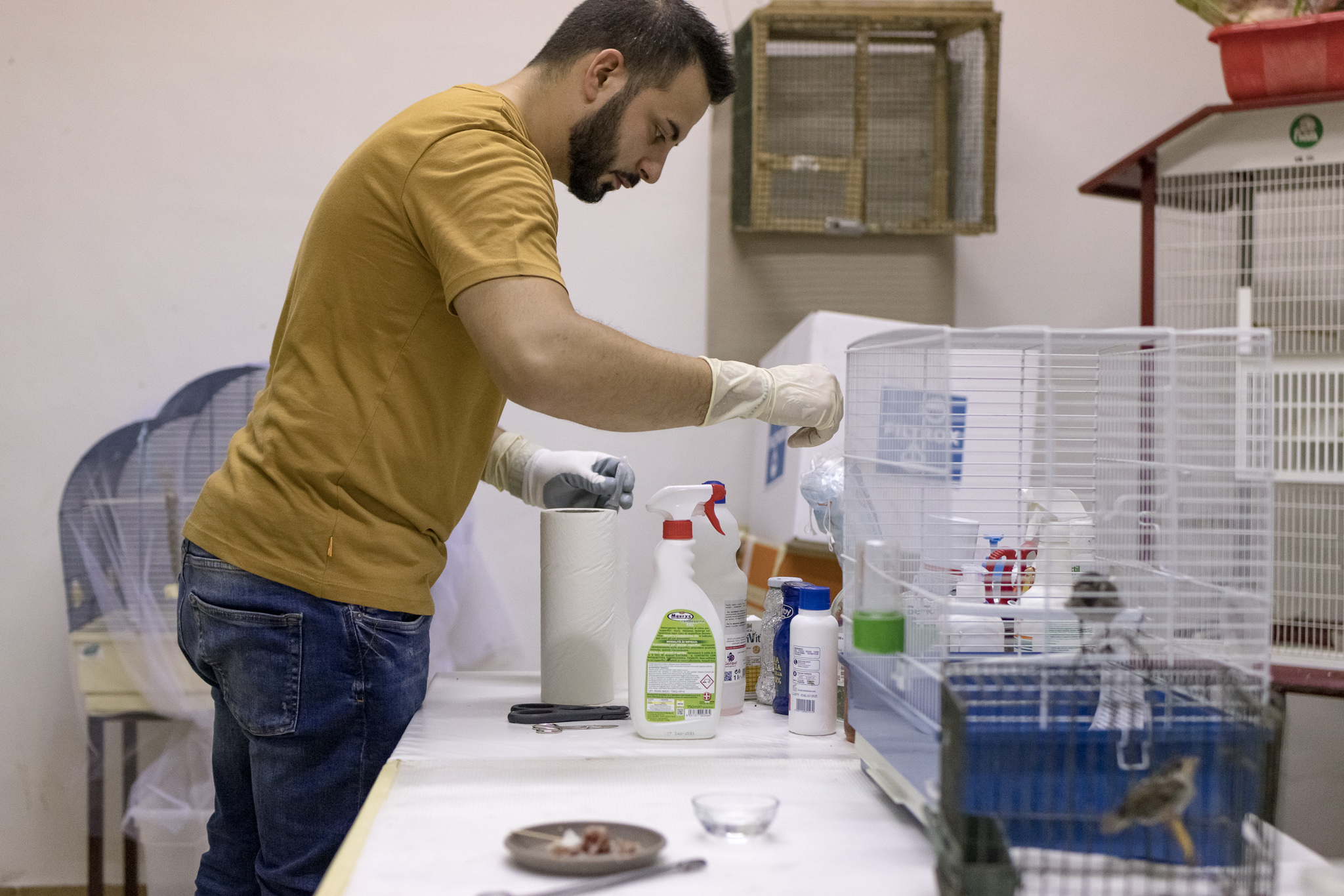 2022_07_29 CeTRAS - Liberazione rapaci ad Arno Vecchio