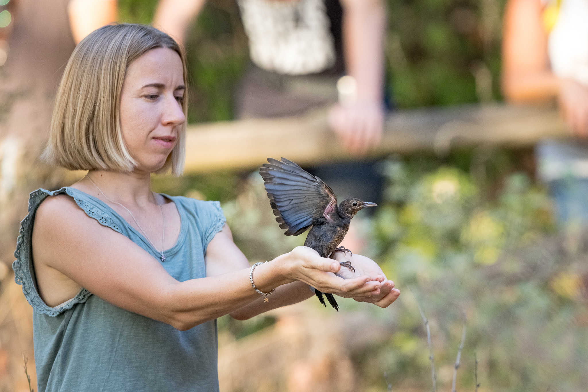 2022_07_29 CeTRAS - Liberazione rapaci ad Arno Vecchio