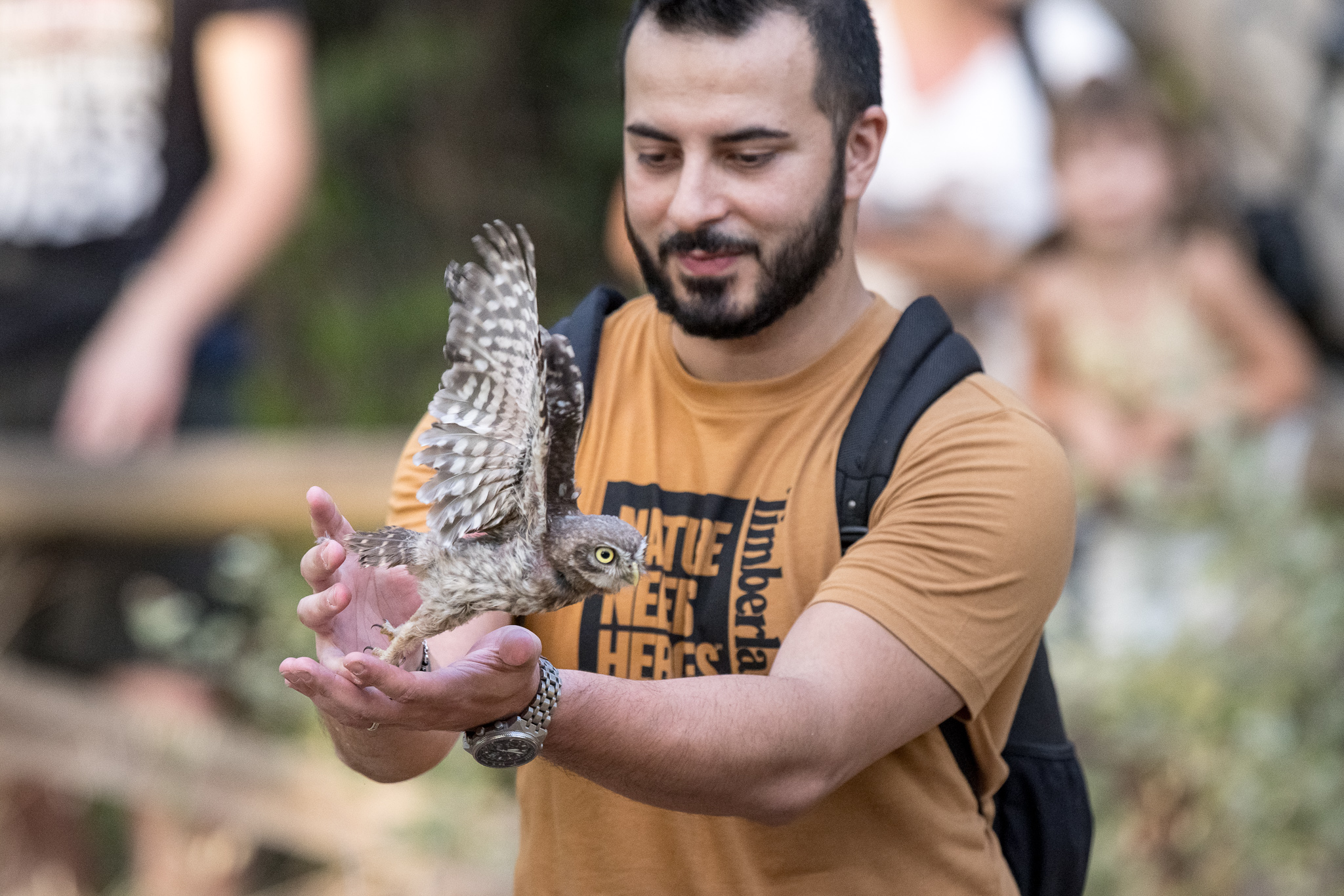 2022_07_29 CeTRAS - Liberazione rapaci ad Arno Vecchio