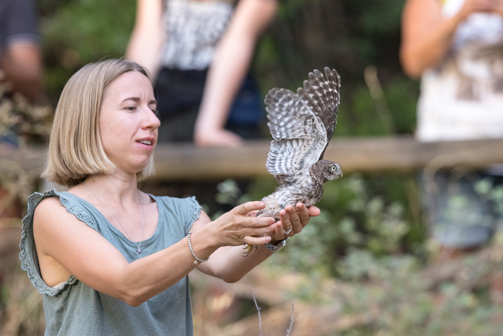 2022_07_29 CeTRAS - Liberazione rapaci ad Arno Vecchio