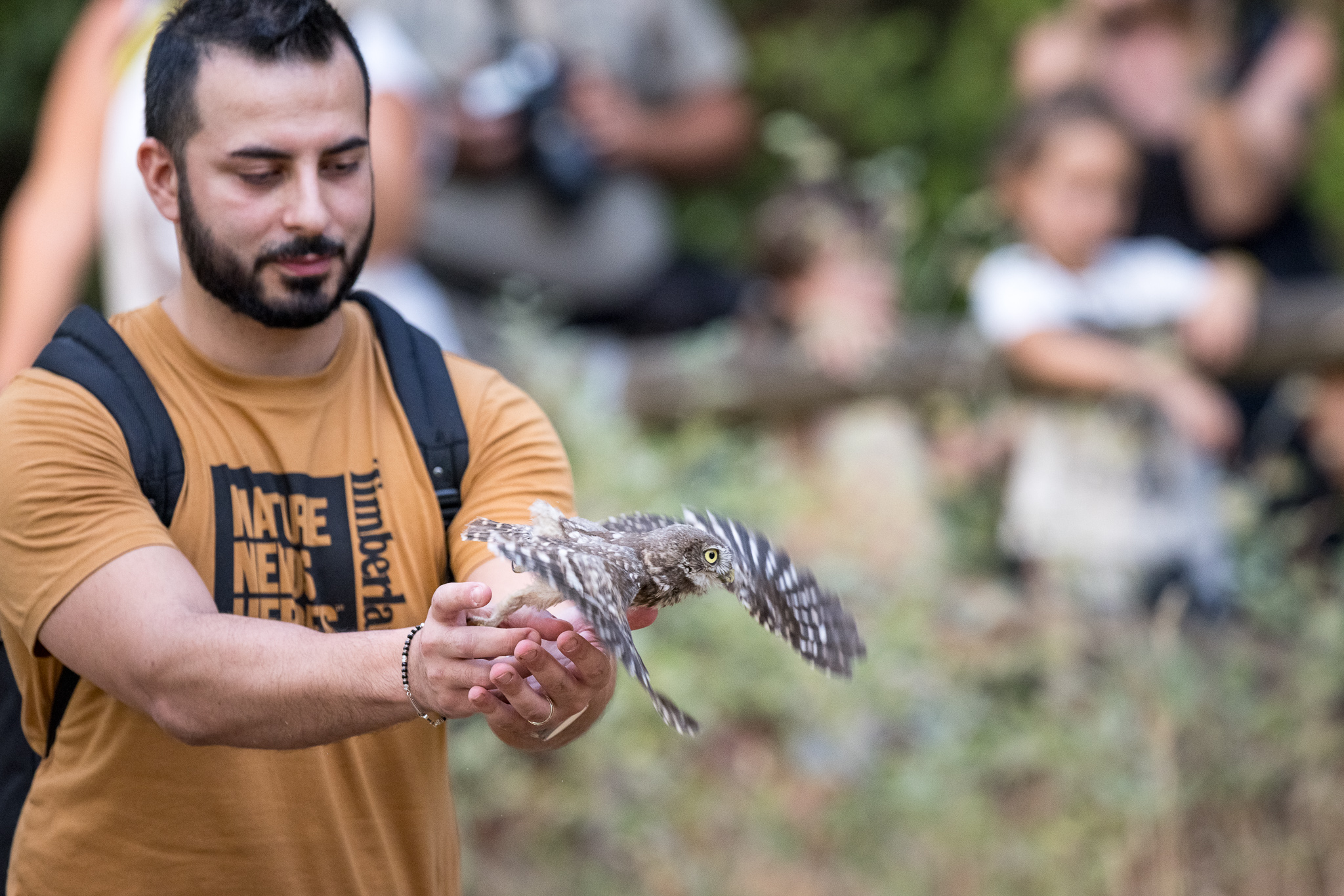 2022_07_29 CeTRAS - Liberazione rapaci ad Arno Vecchio