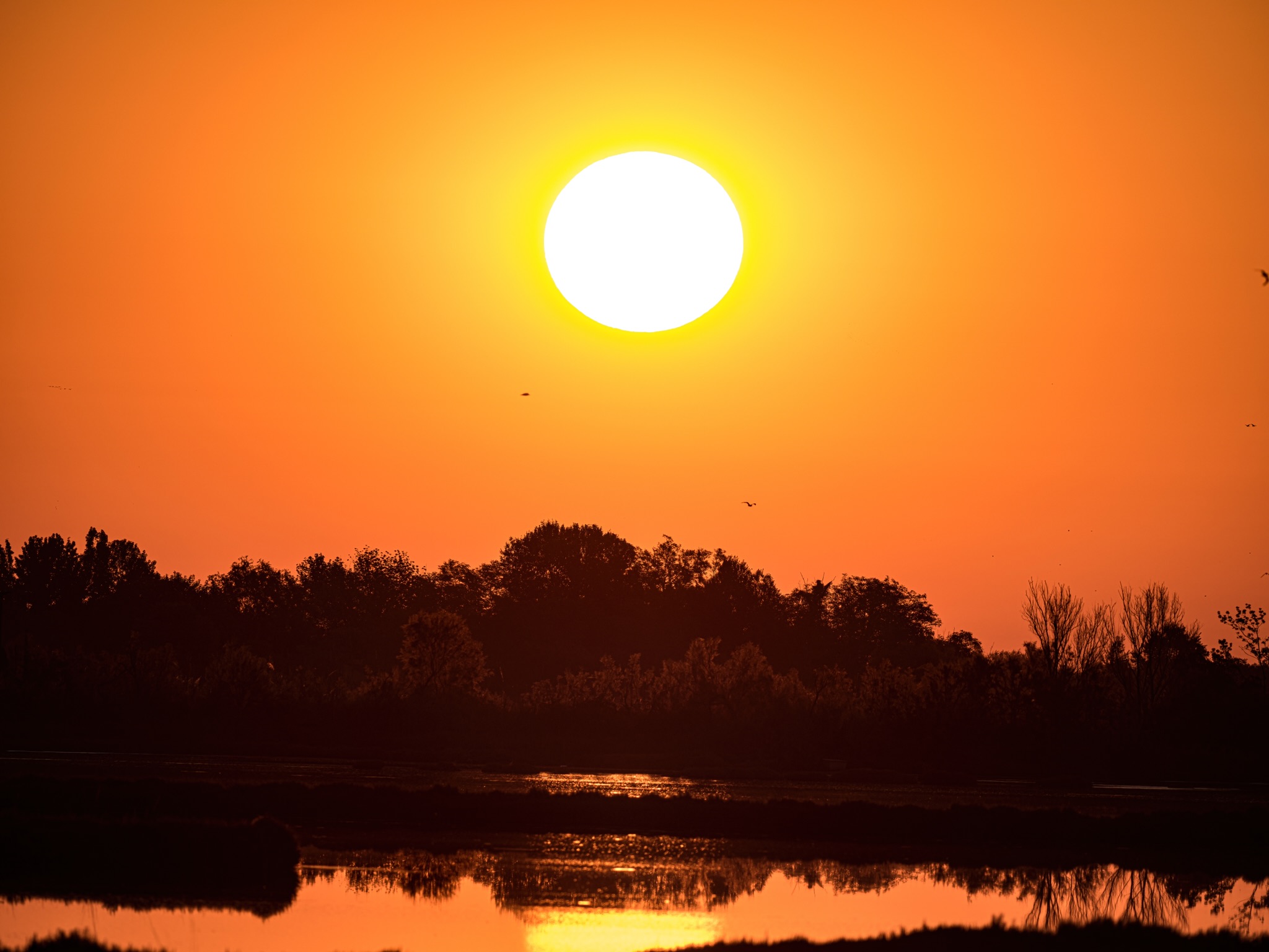 Sunrise in the lagoon